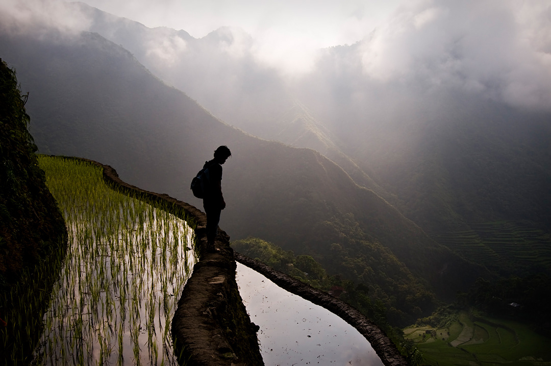 A boy looking at the rice terraces of Batad at dawn. 