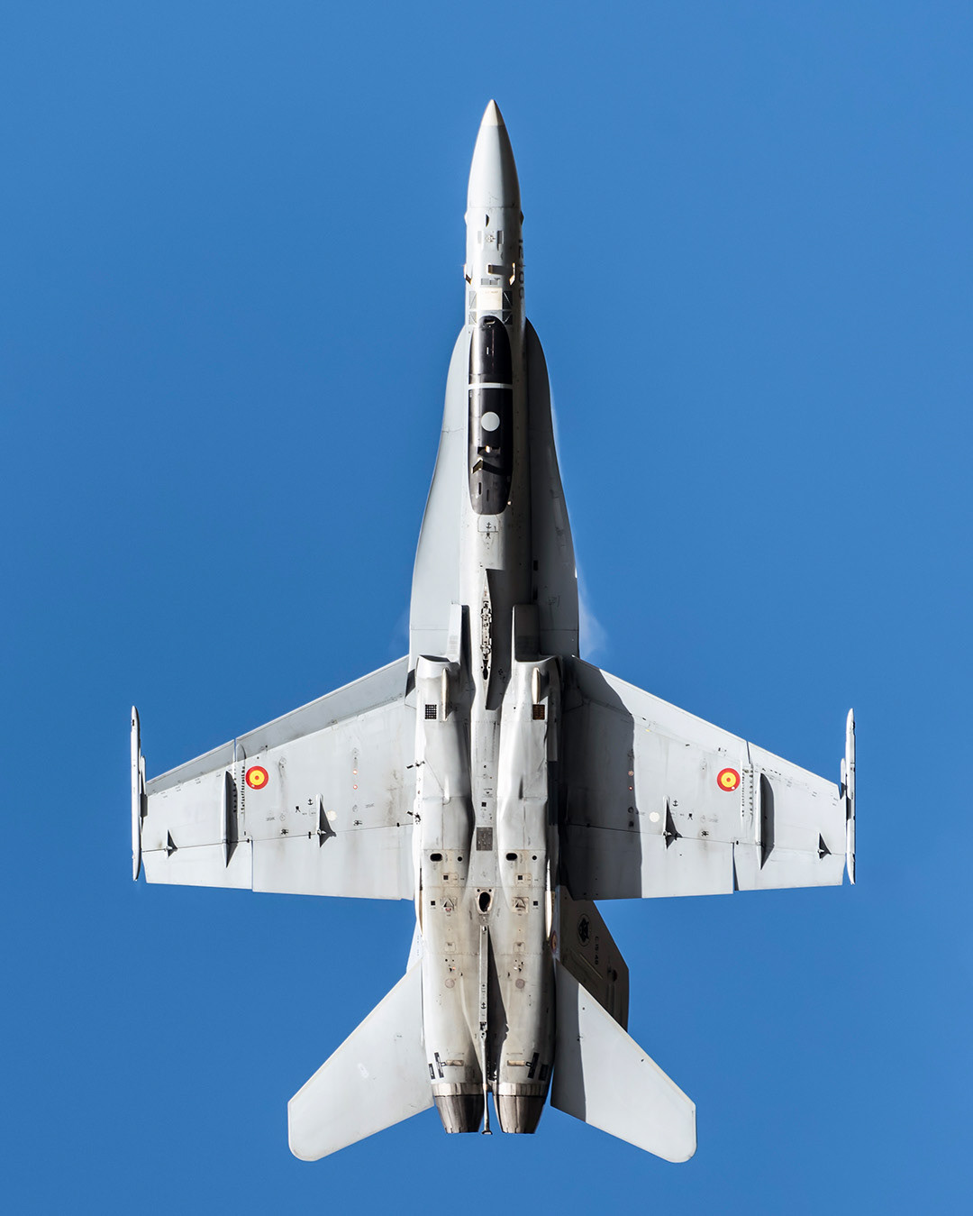 Spanish McDonnell Douglas F18 Hornet in flight..