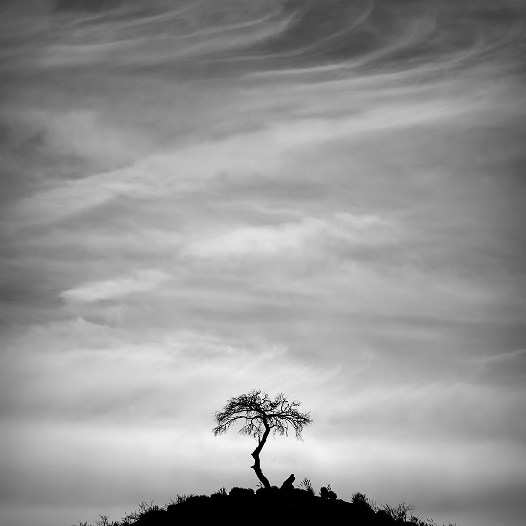 30 Junto a la carretera JV-3213, entre la Estación de Cabra y la Estación de Huesa