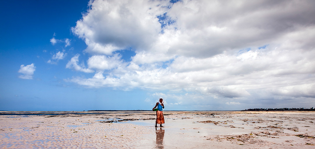 Zanzibar (Tanzania).