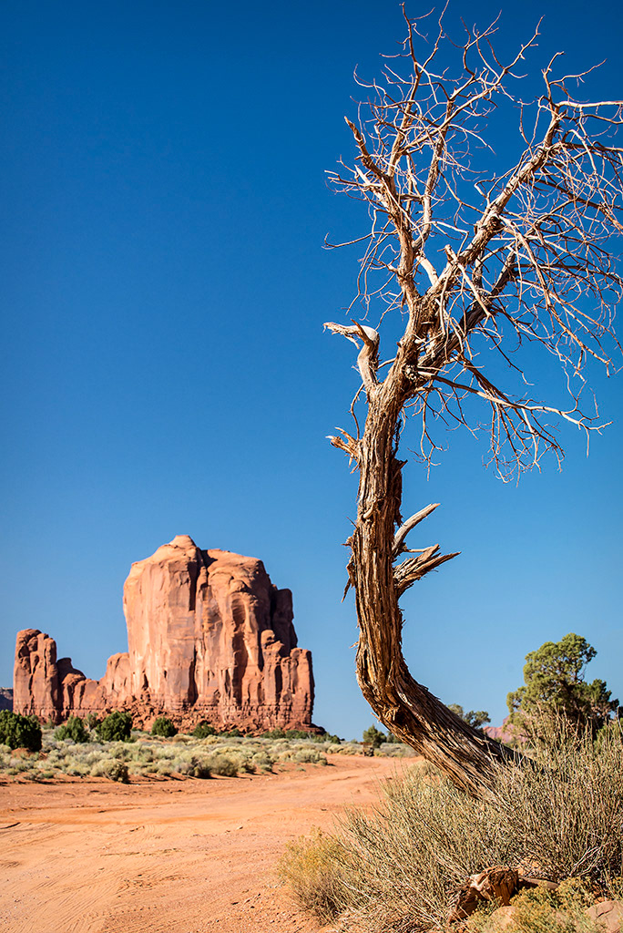 Monument Valley Navajo Tribal Park.