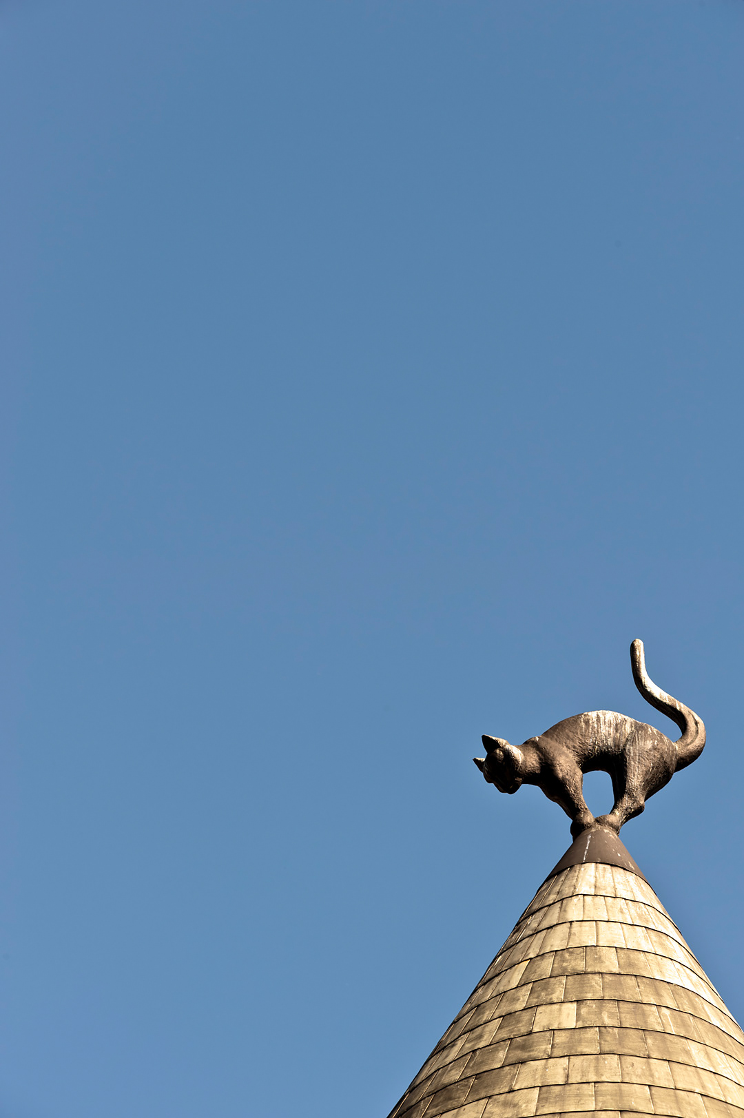 Cat House pinnacle in Riga. 