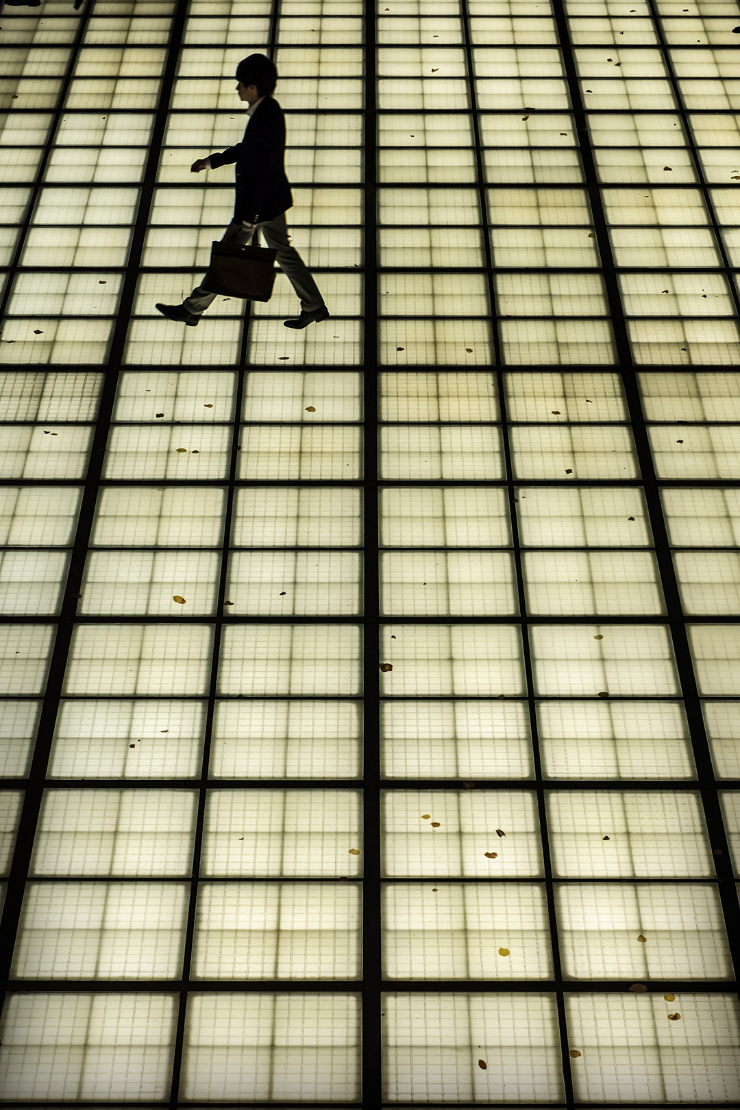 Streets of Ginza, near the Tokyo International Forum.