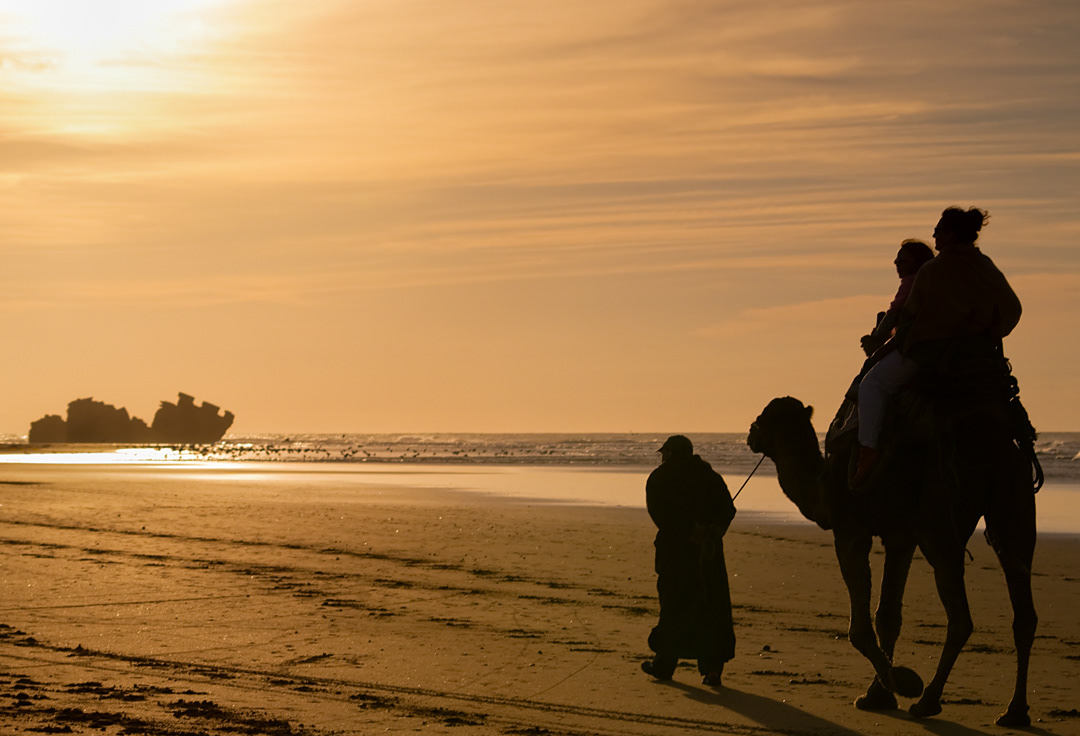 Tourists on camel ride in Essaouira.