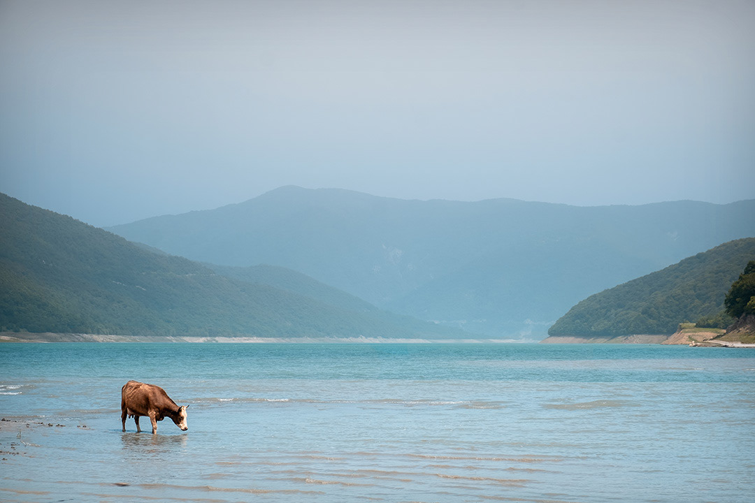 Zhinvali lake reservoir.