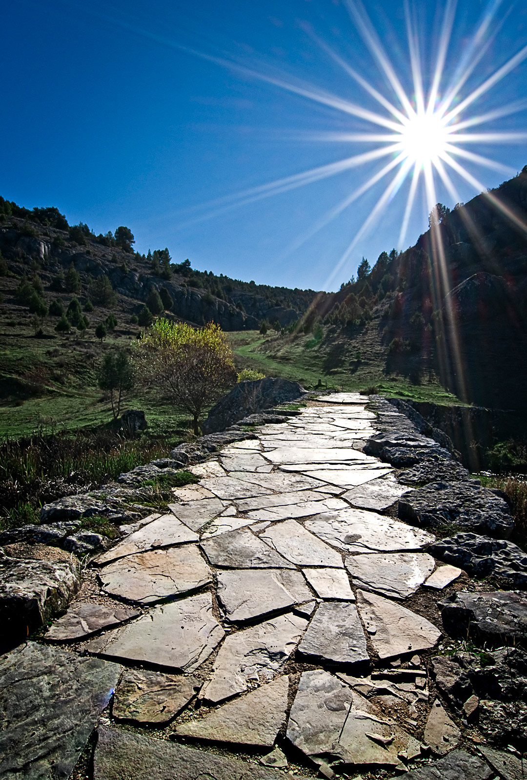 Hontoria del Pinar (Burgos).