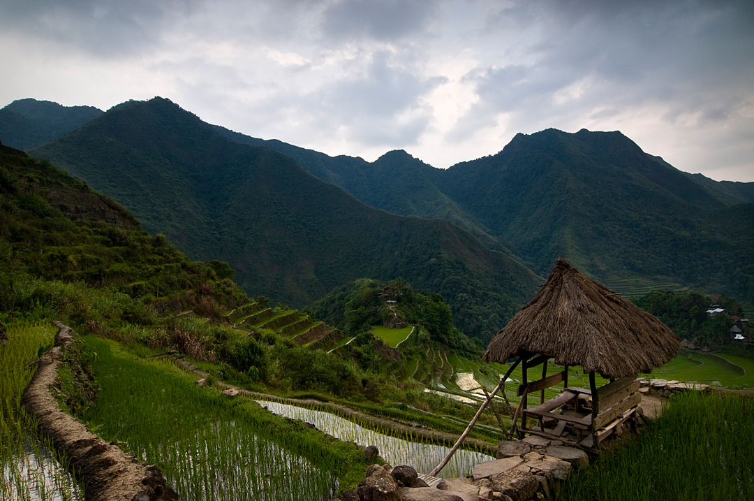  Refuge in rice terraces of Batad. 