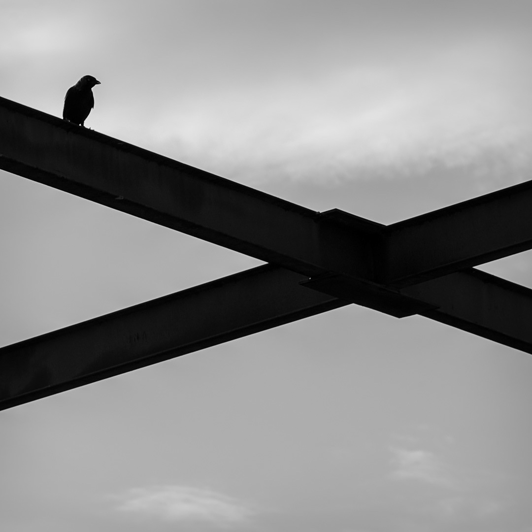 32 Vigas de celosía sobre el puente del ferrocarril de Arroyo Salado, en Cabra del Santo Cristo
