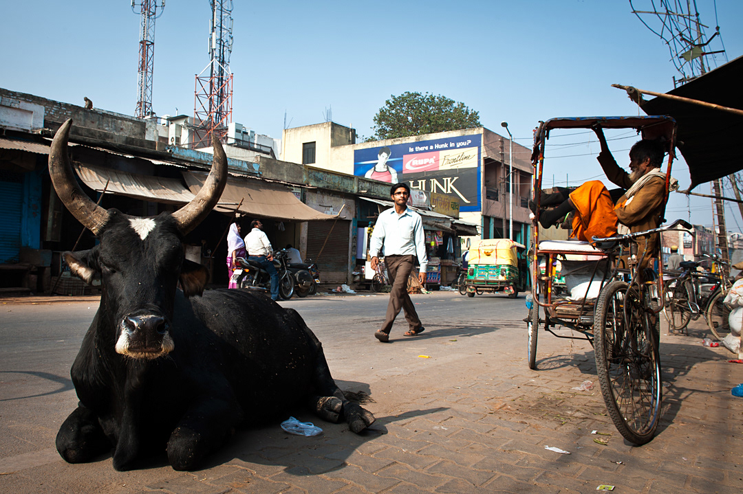 Streets of Agra. 