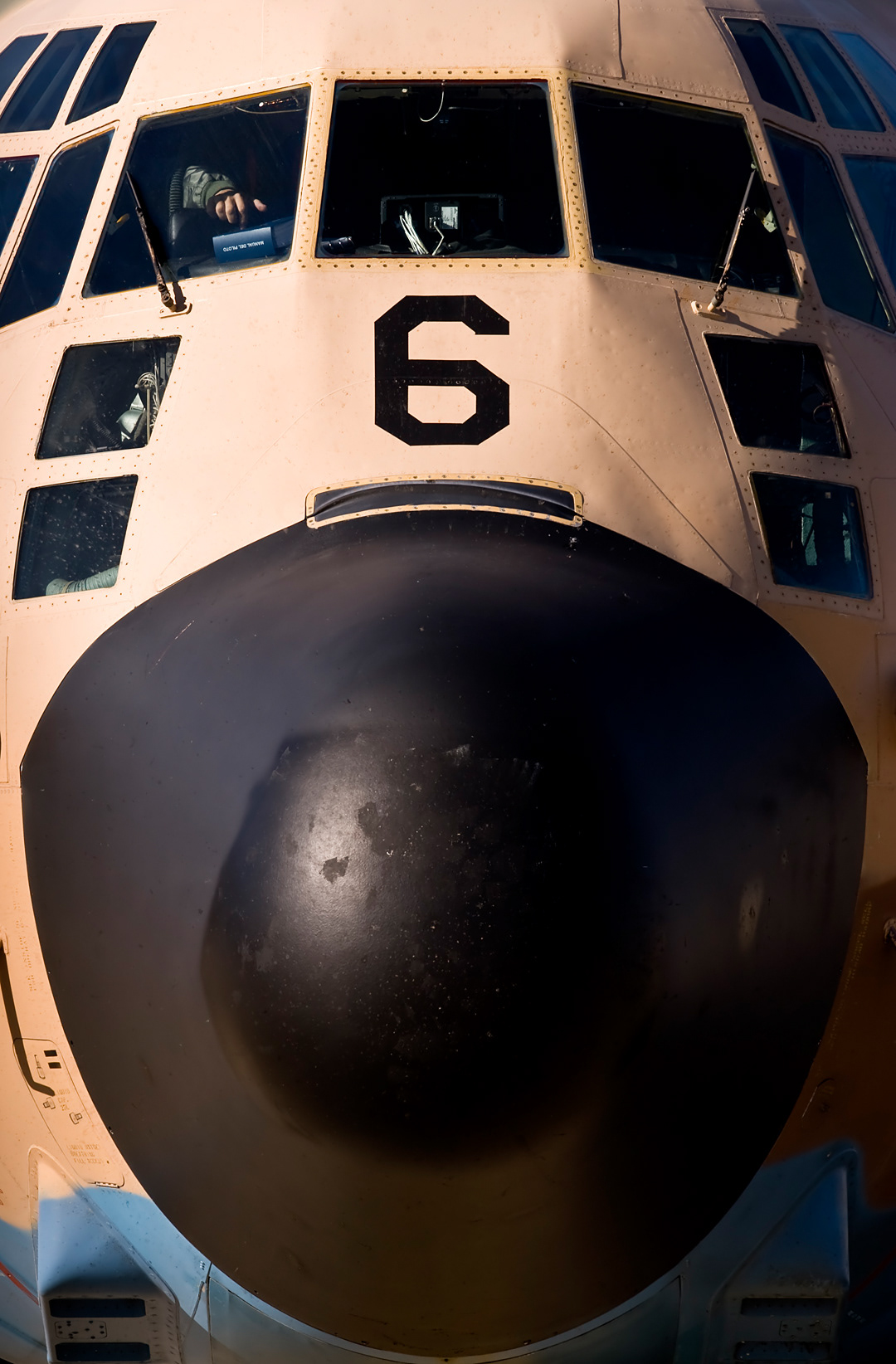 Hercules from the 31st Wing of the Spanish Air Force.