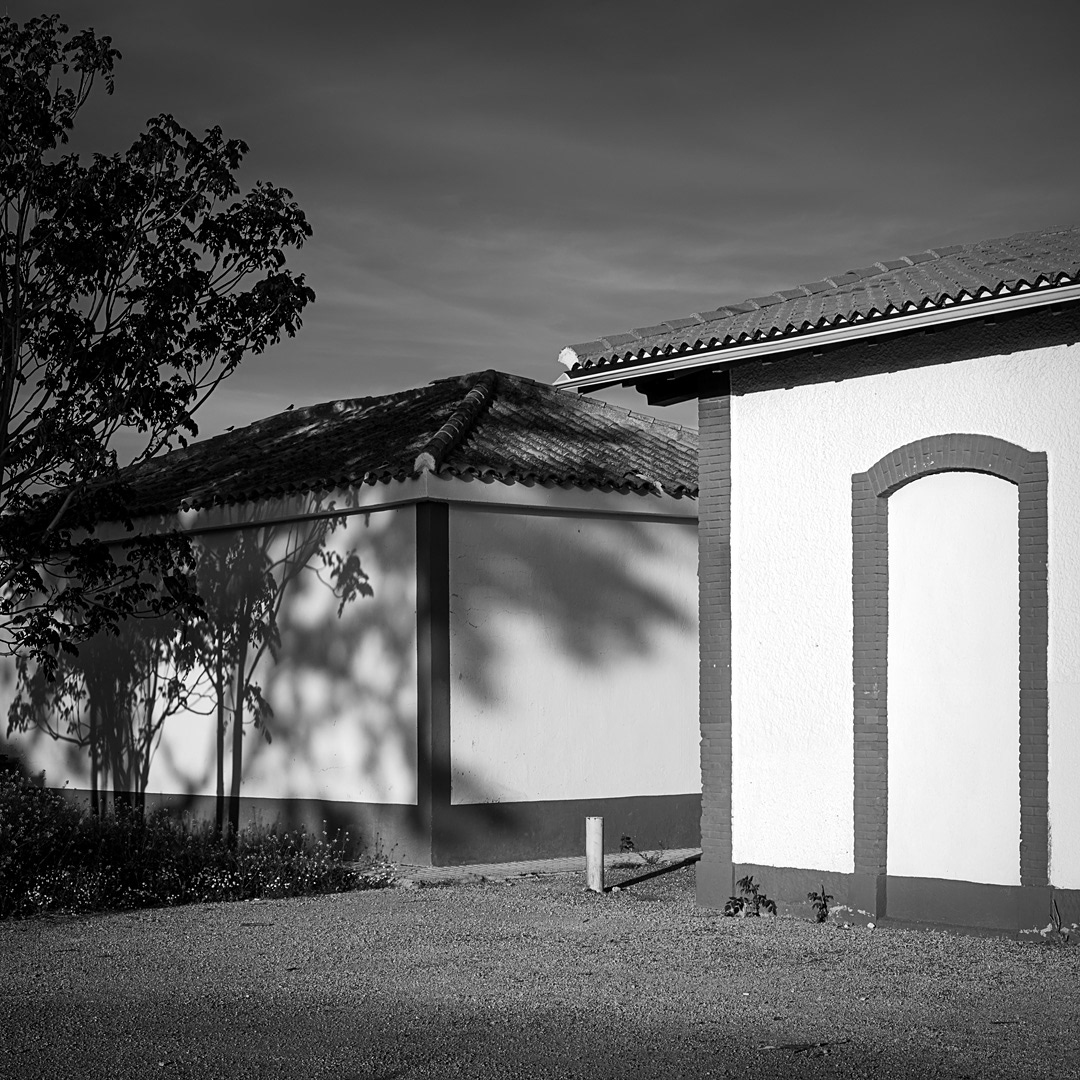 02 Estación de Cabra - Alicún