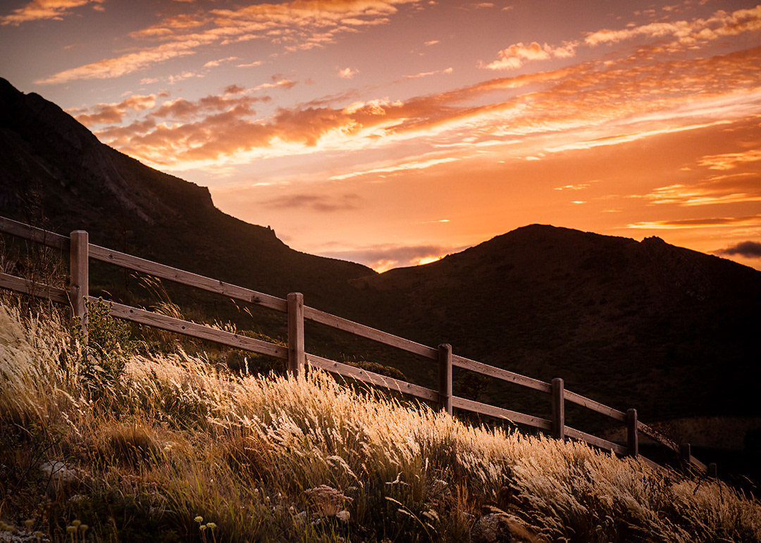 "Alto del Portillo de Busto" (Burgos).