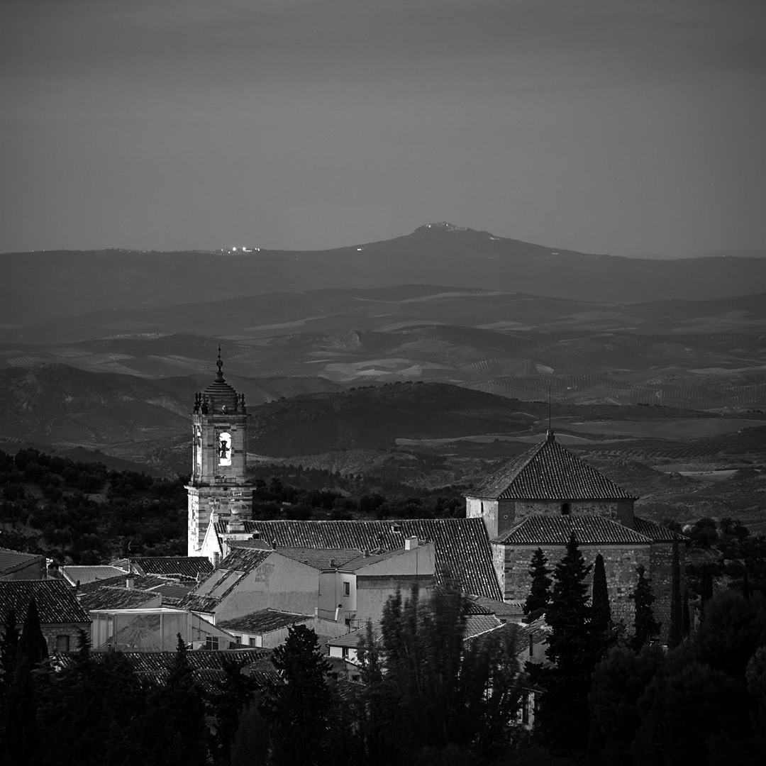 11 Cabra del Santo Cristo al anochecer