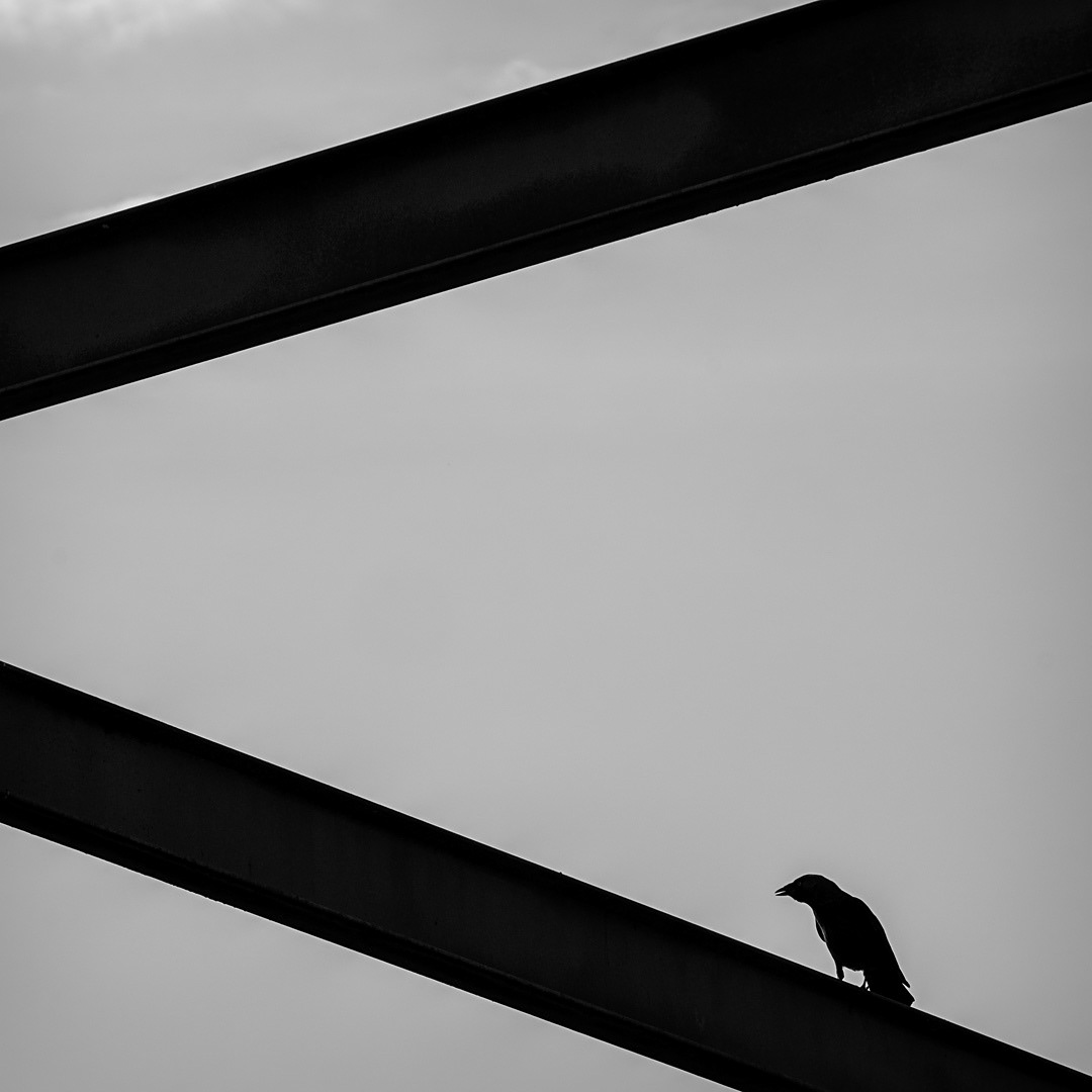 33 Vigas de celosía sobre el puente del ferrocarril de Arroyo Salado, en Cabra del Santo Cristo