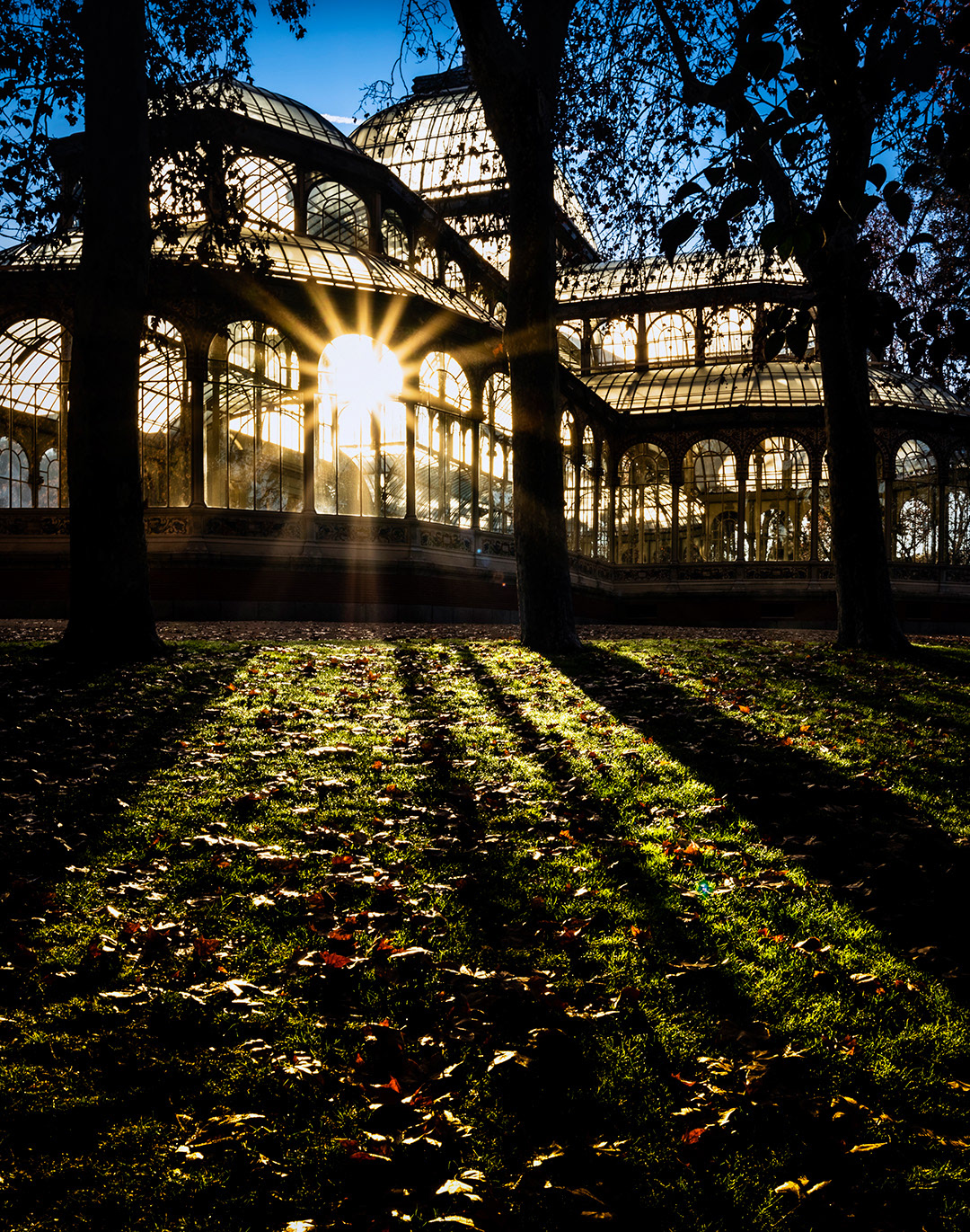 El Retiro park (Madrid).