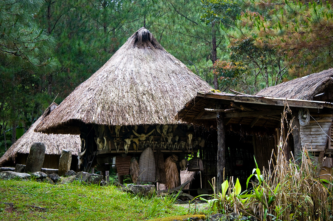  Traditional Ifugao houses near Banaue.