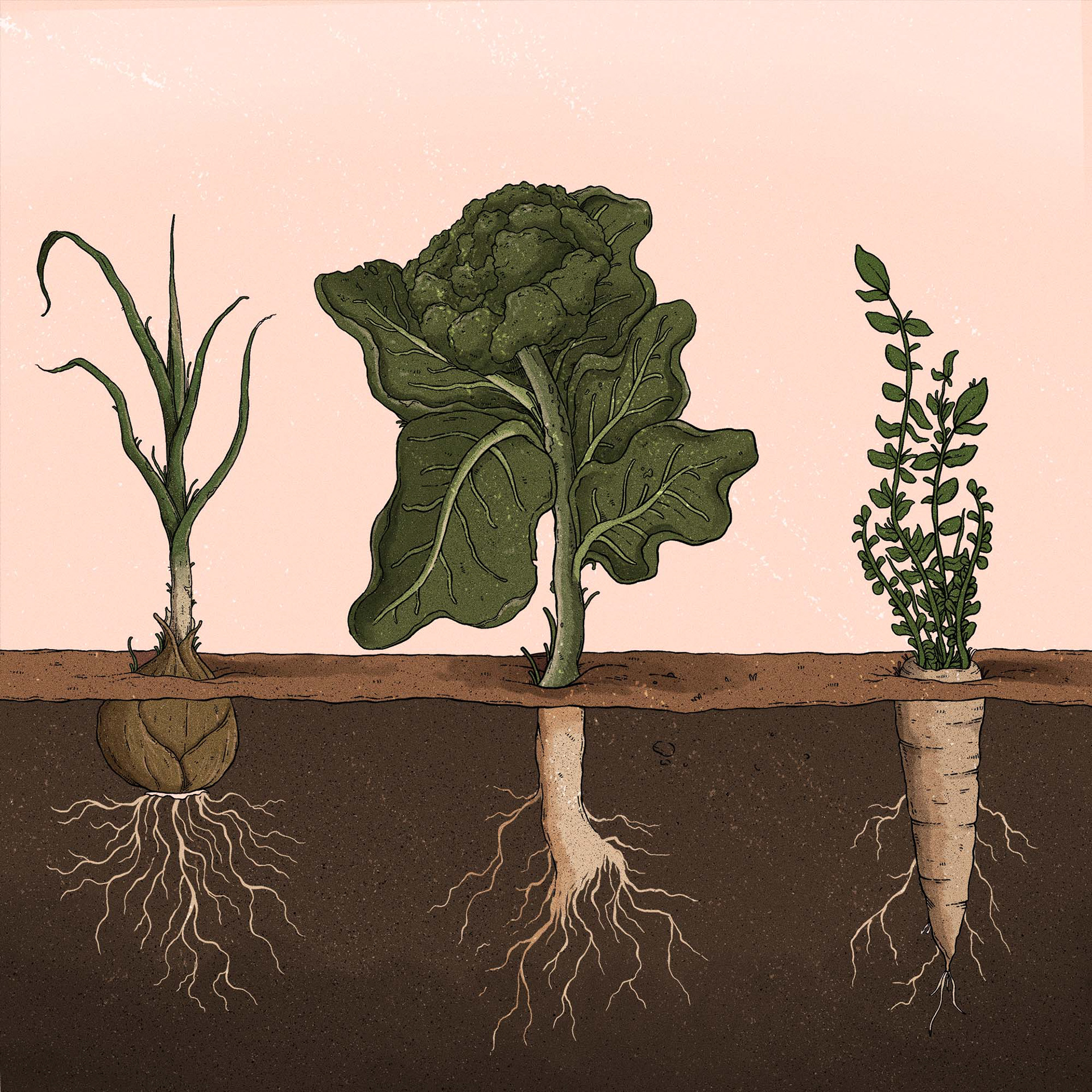 Garden - Cover art for Philip Somber