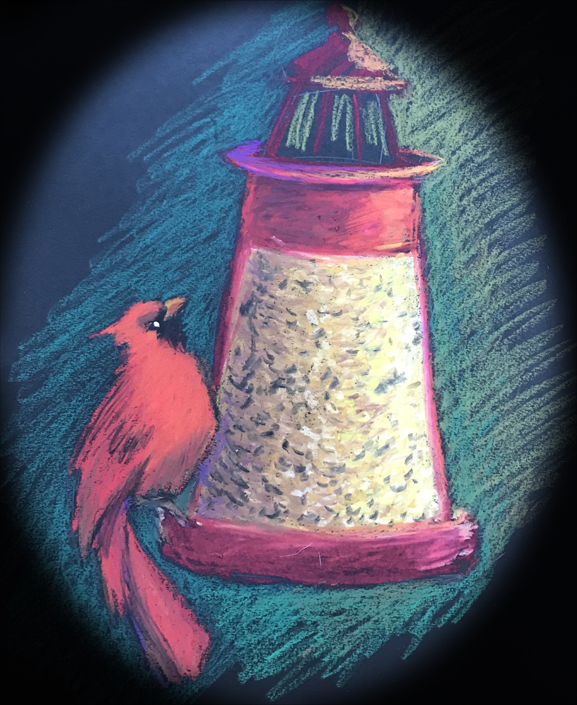 Pip at the feeder