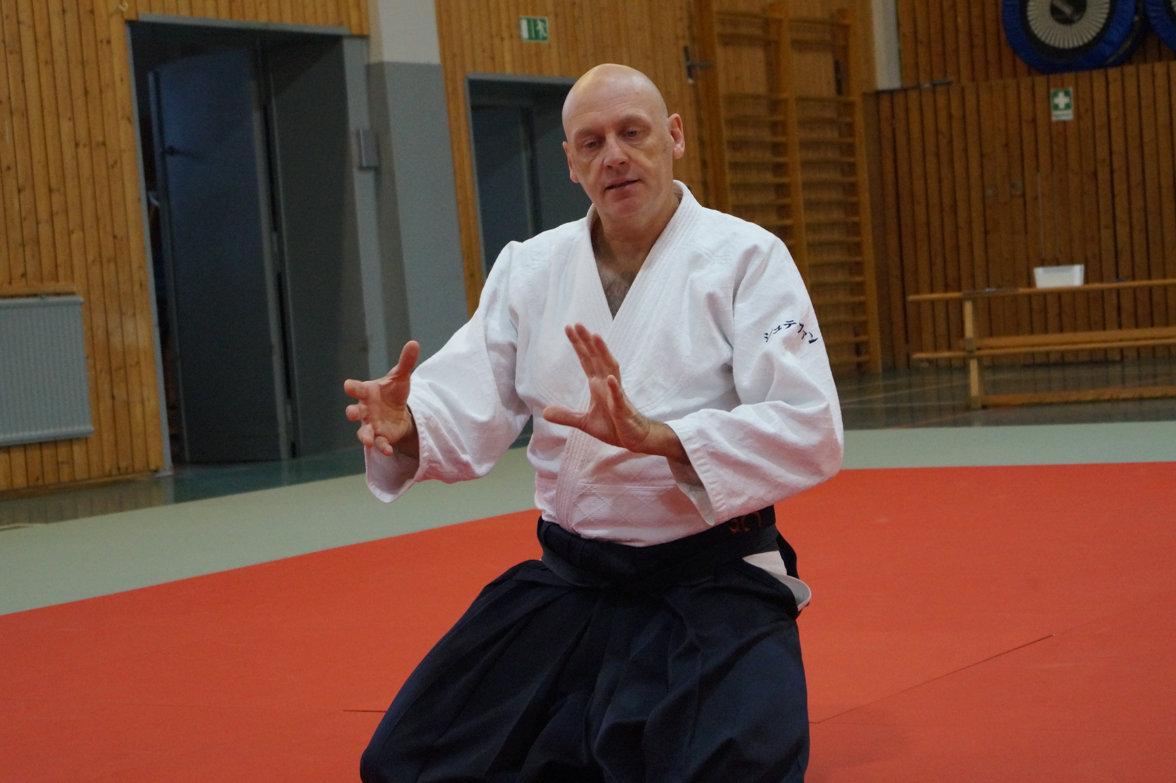 Stafan (Aikido Shinboku)