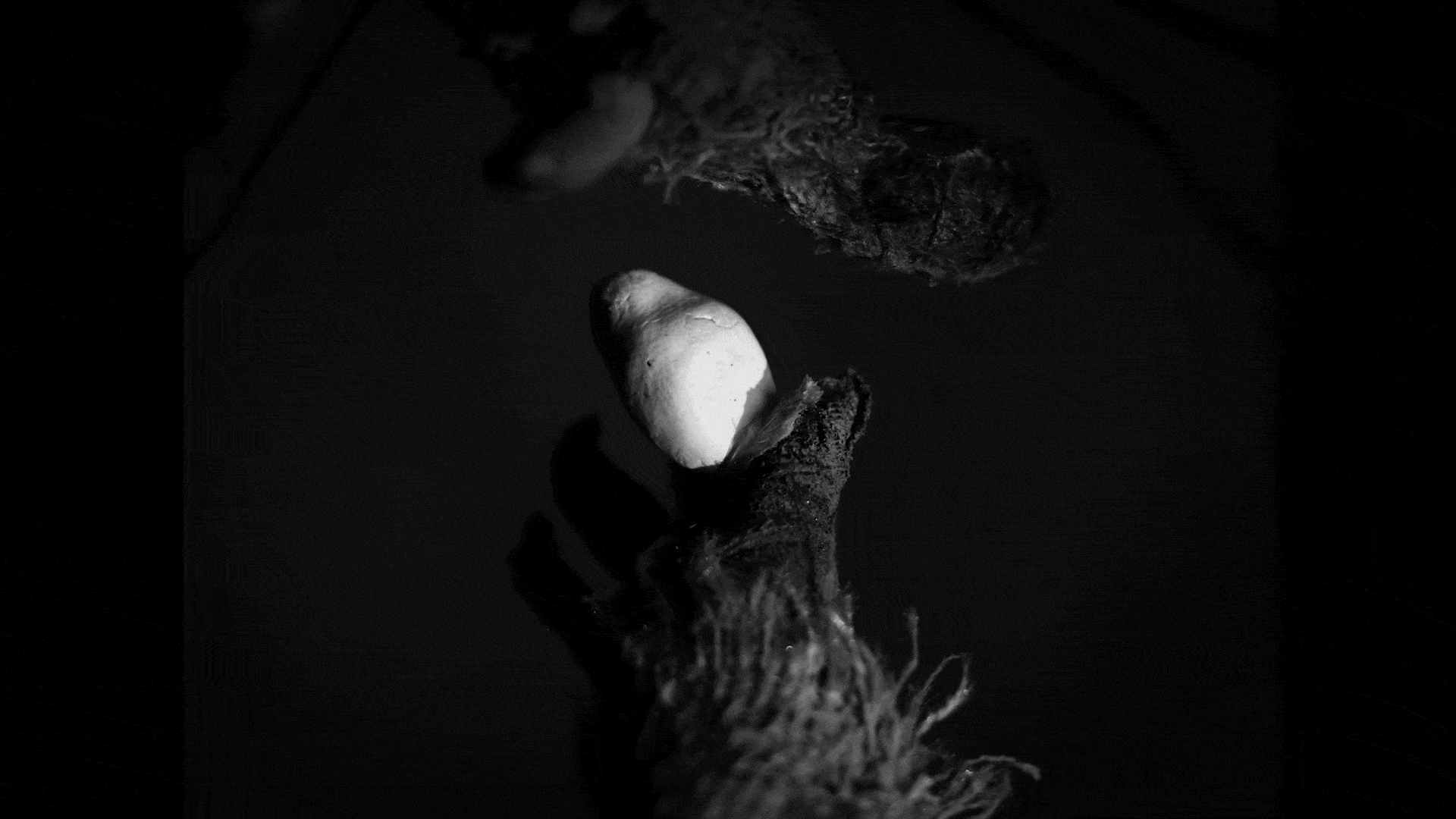 El Ratón Pérez in puppet form.