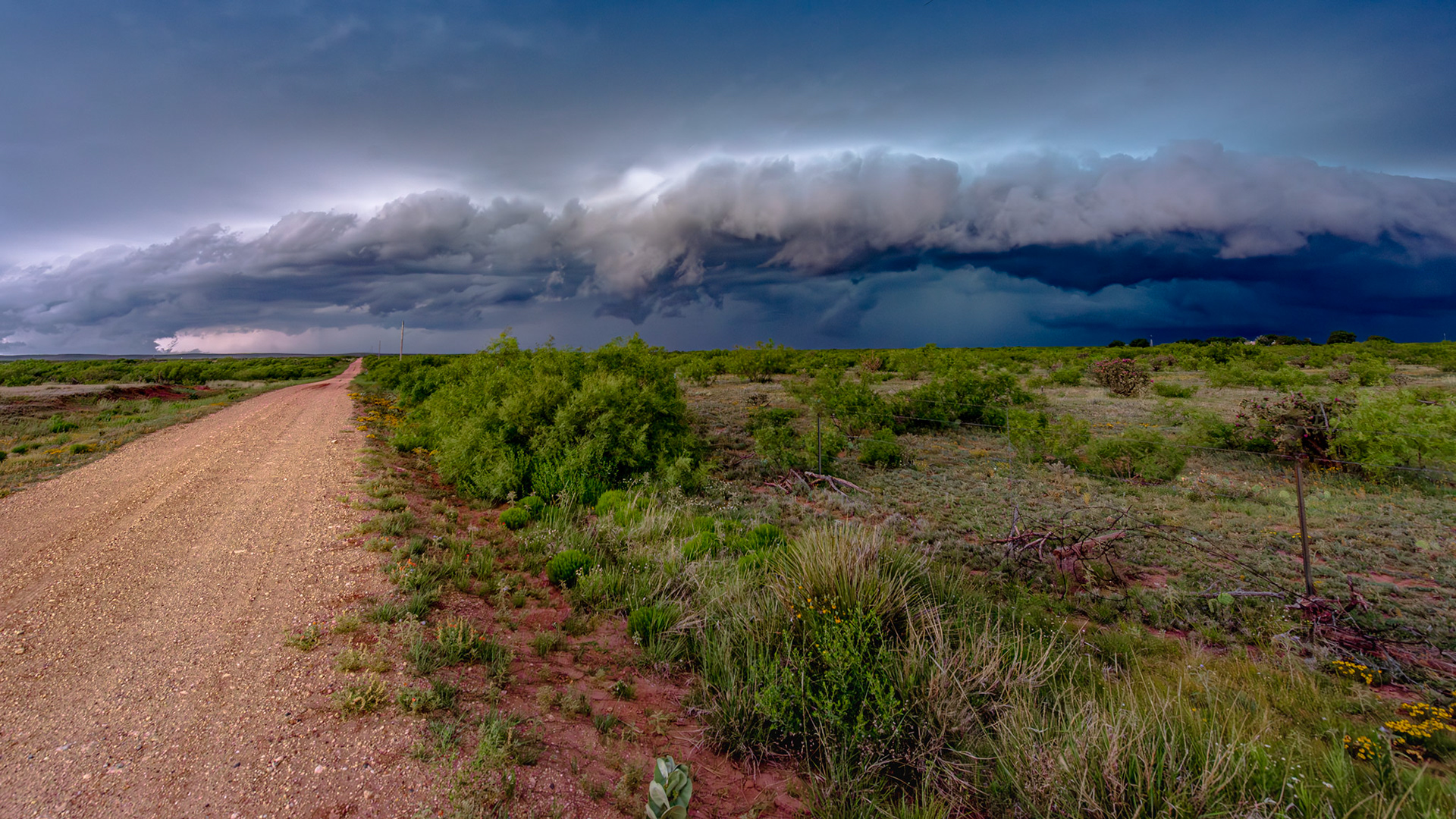 Storm, 