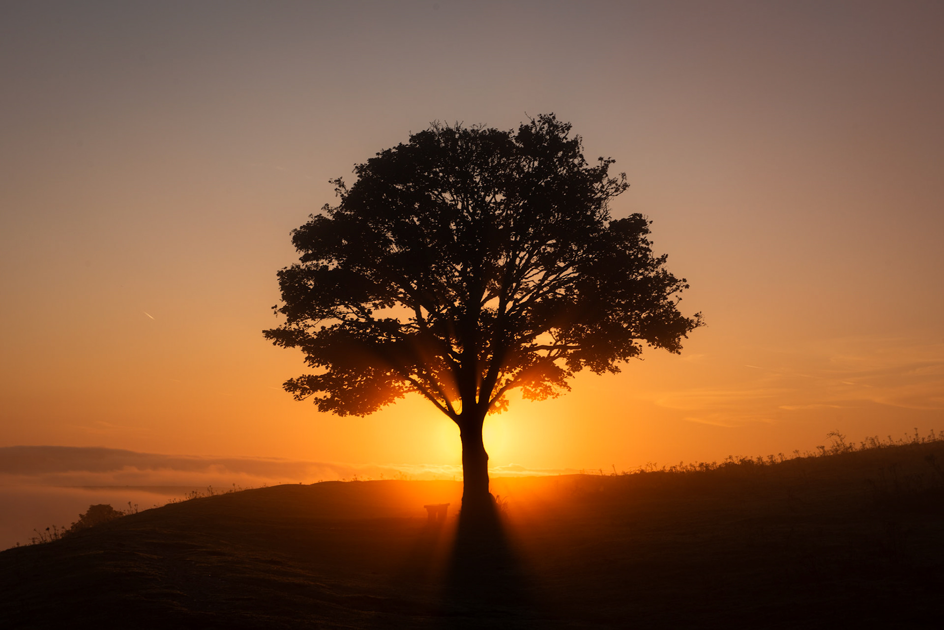 Cissbury Ring, England 