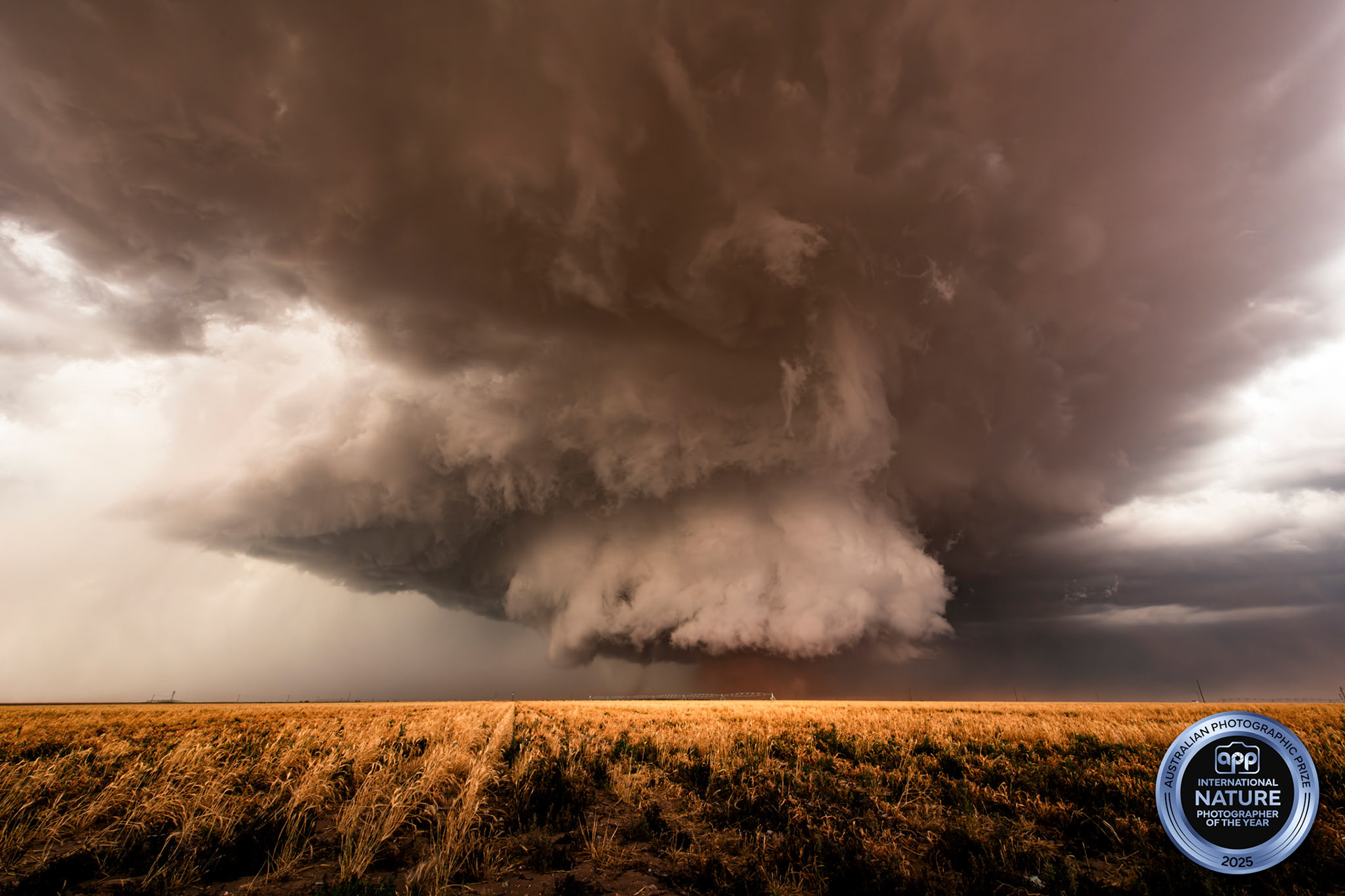 The Morton Tornado, Morton, Texas