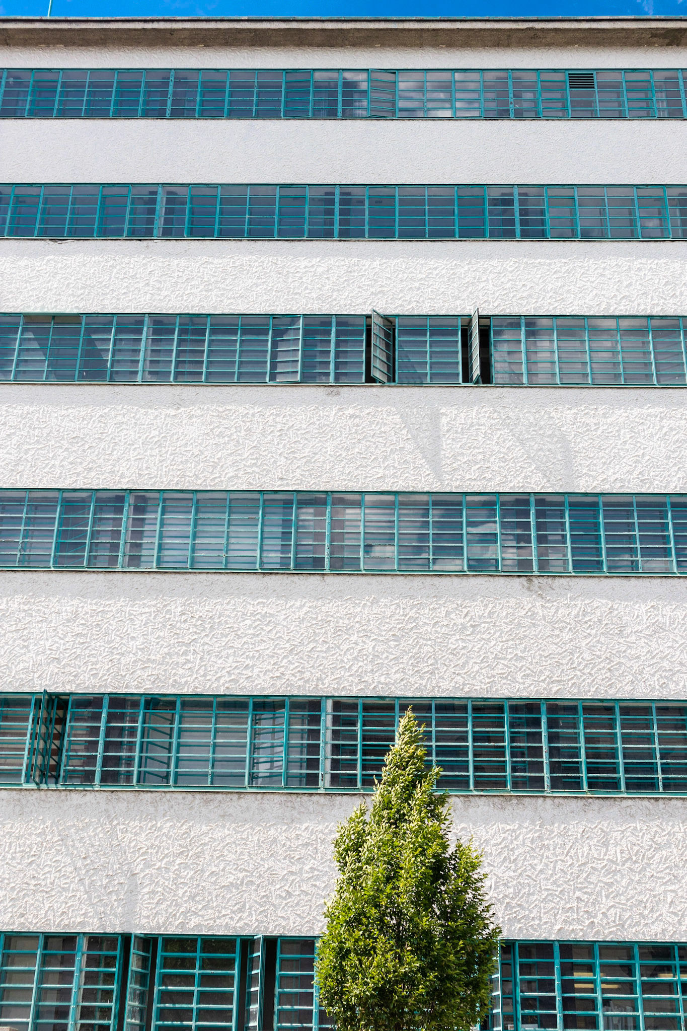 Tabakfabrik Linz, Bau 1 Window Rows and Tree