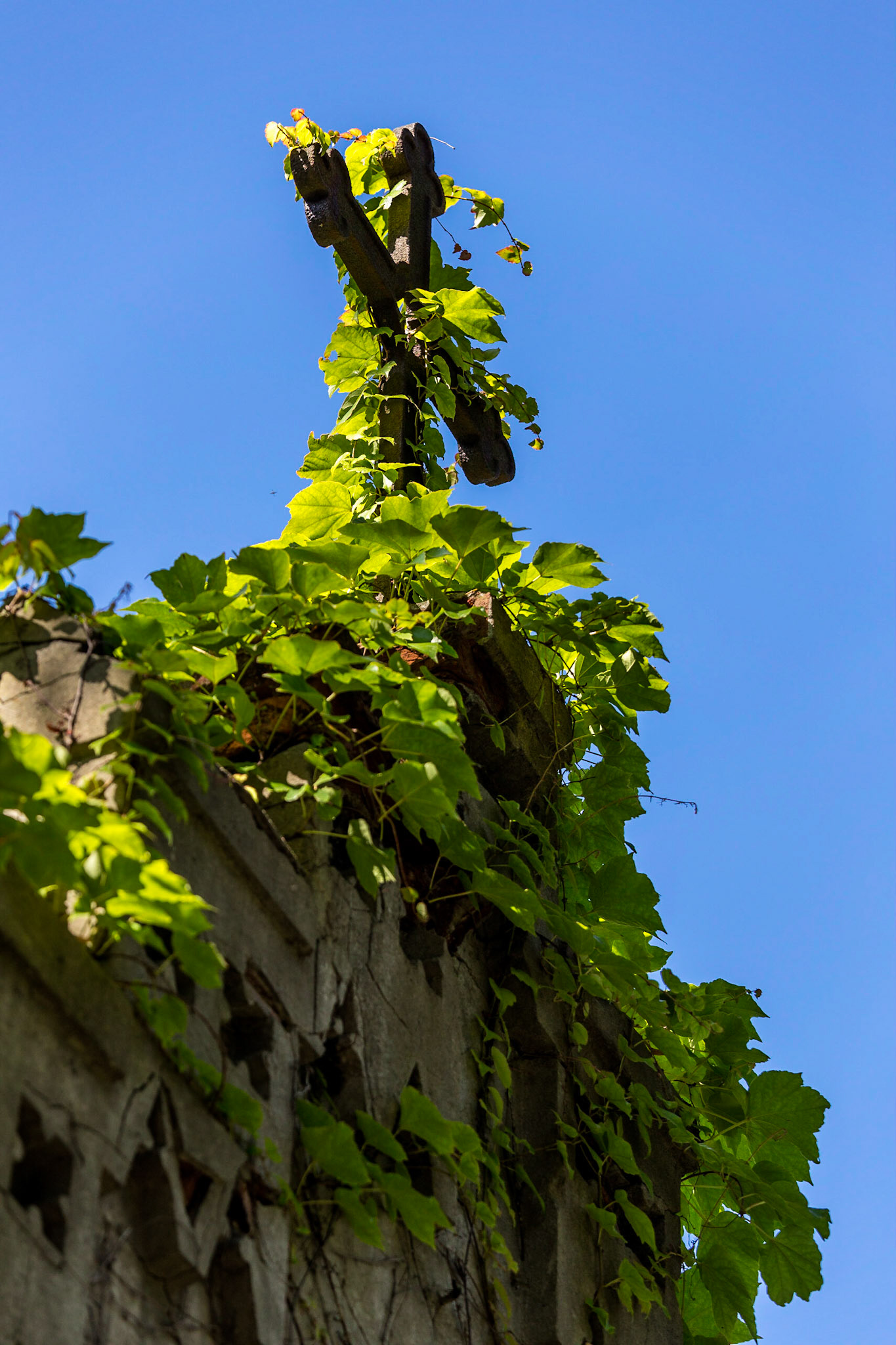 Friedhof Bergmannstraße