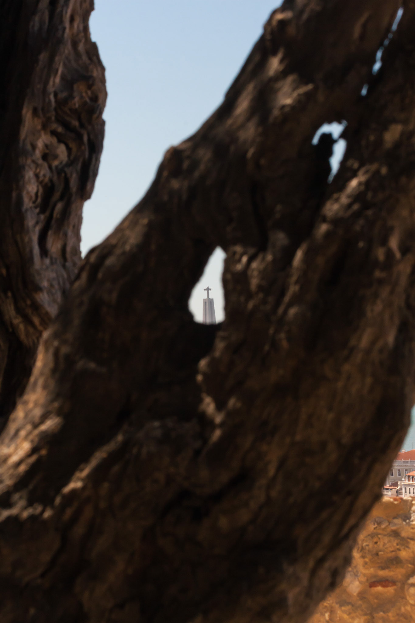 Cristo Rei in the Distance