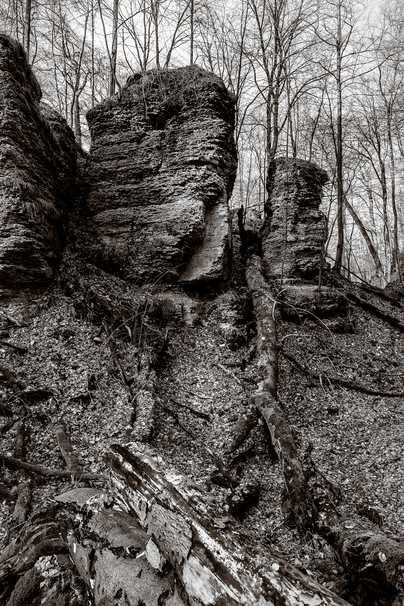 Bielstein Gorge
