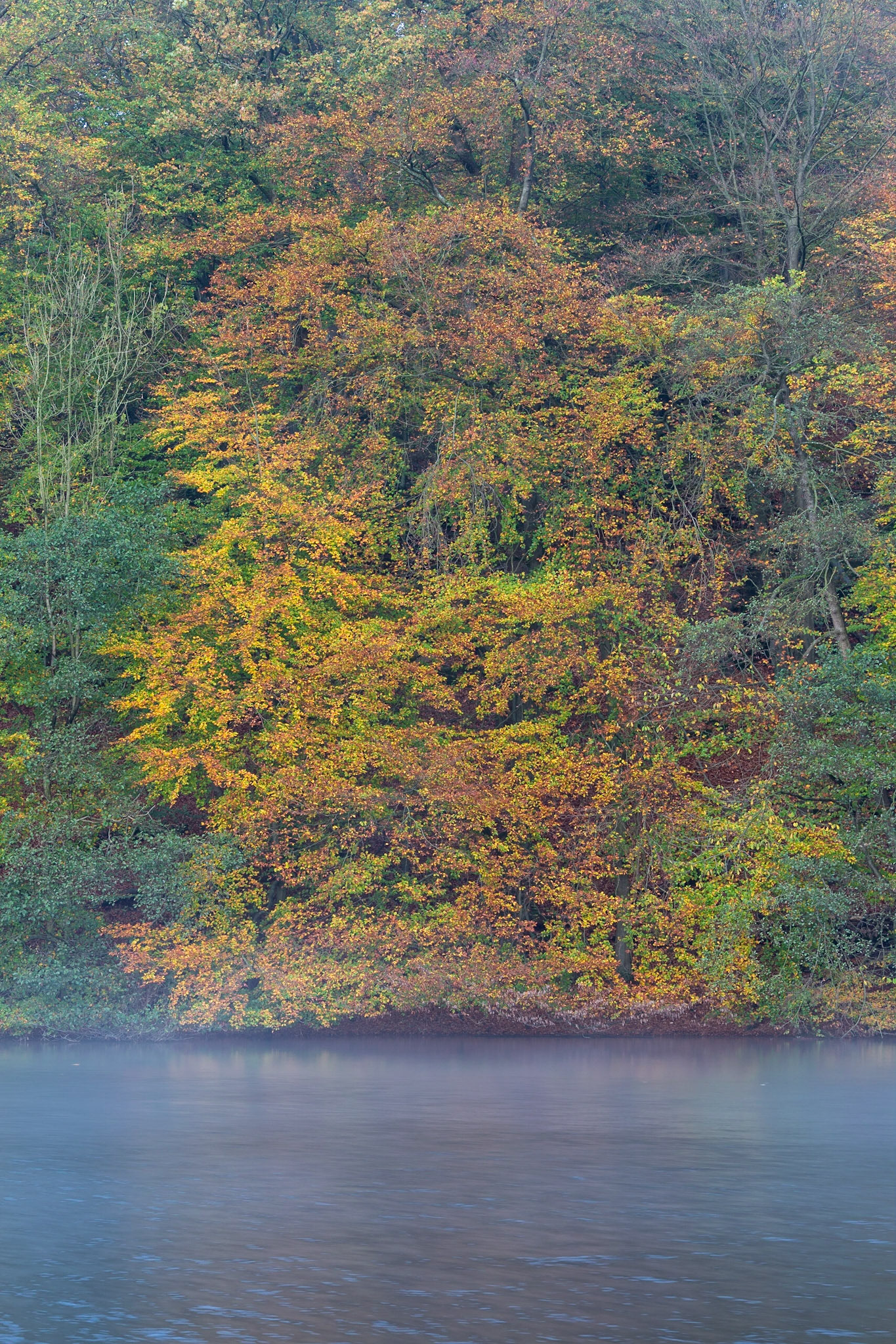 Autumn at Externsteine