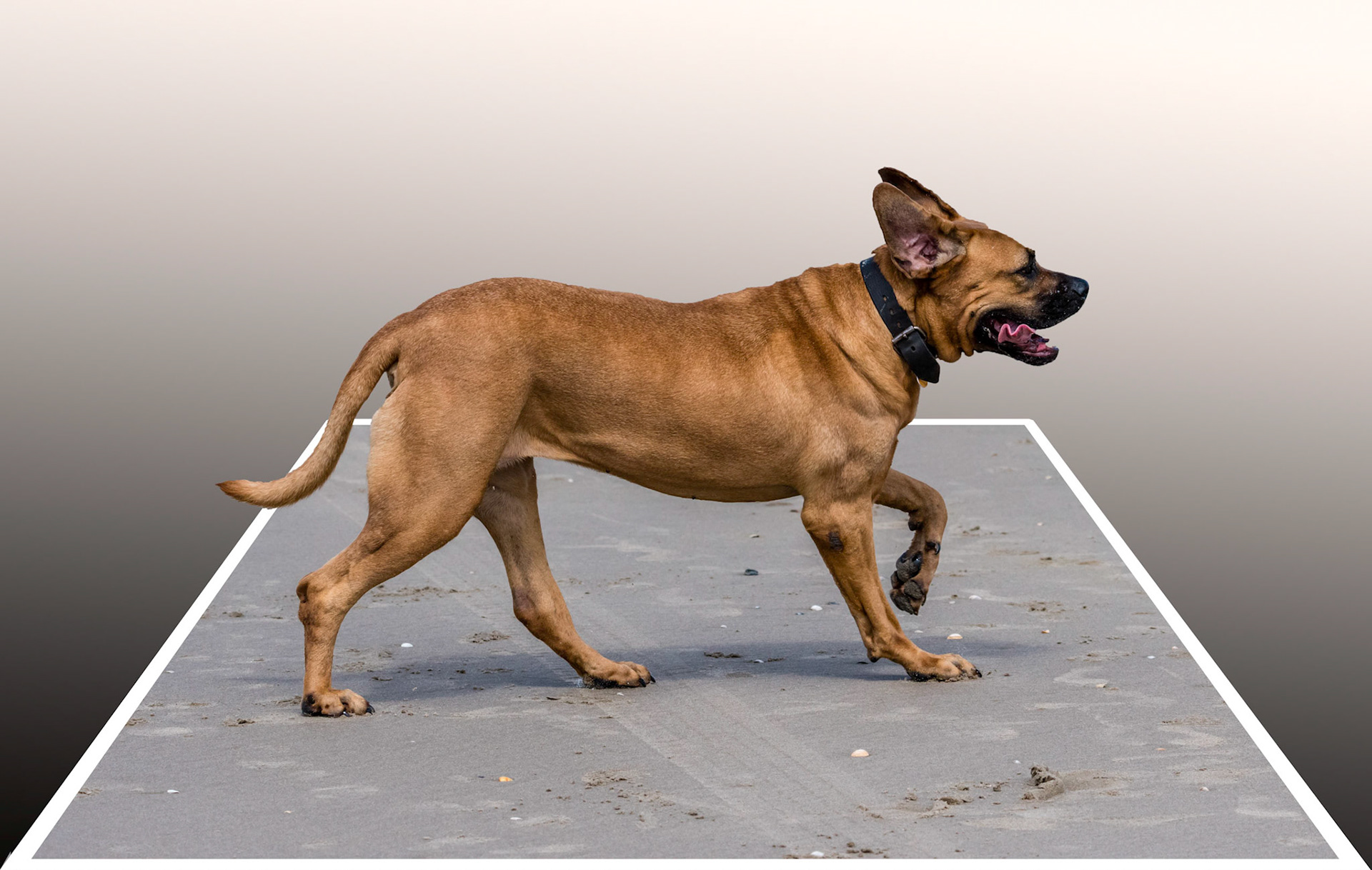 Photo by Rien Janssen (www.rienjanssen.com)