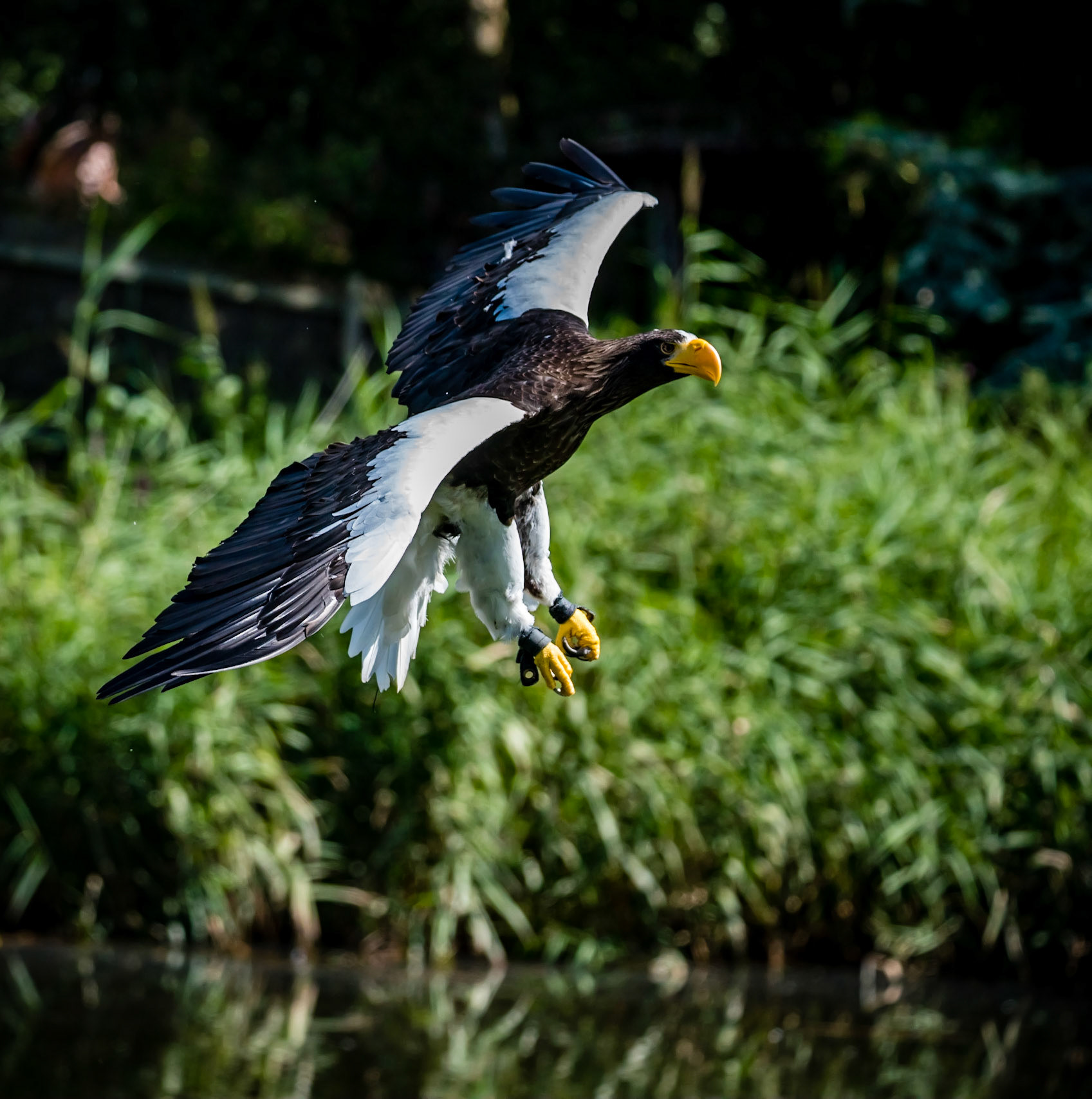 Photo by Rien Janssen (www.rienjanssen.com)