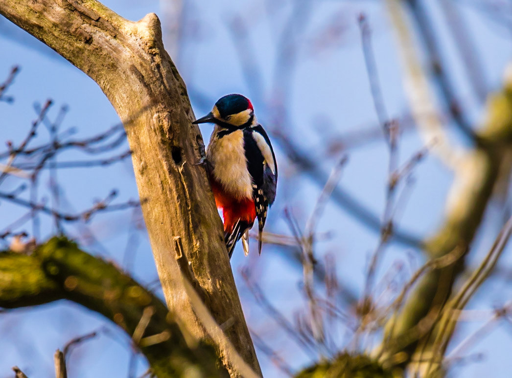Photo by Rien Janssen (www.rienjanssen.com)
