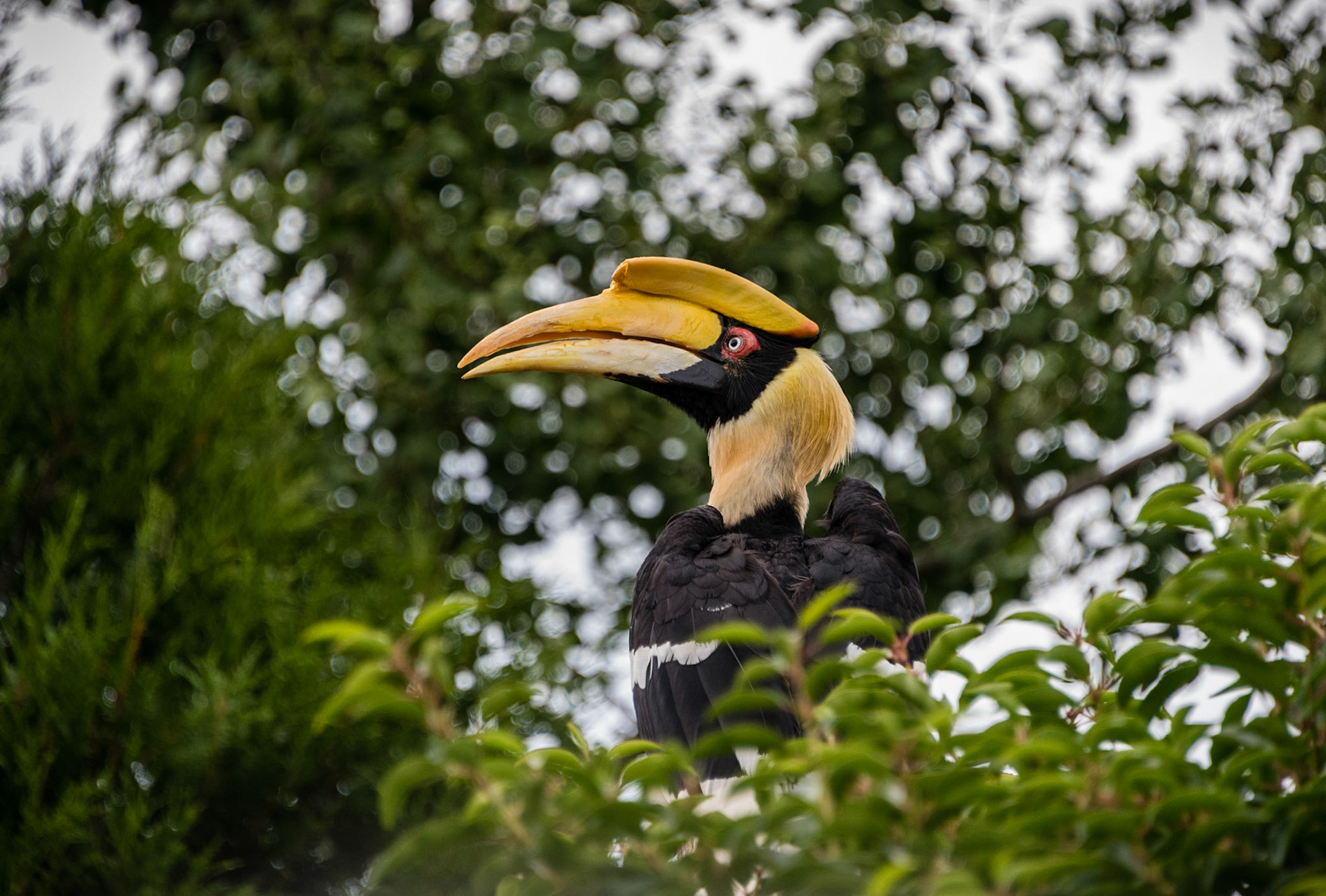 Photo by Rien Janssen (www.rienjanssen.com)