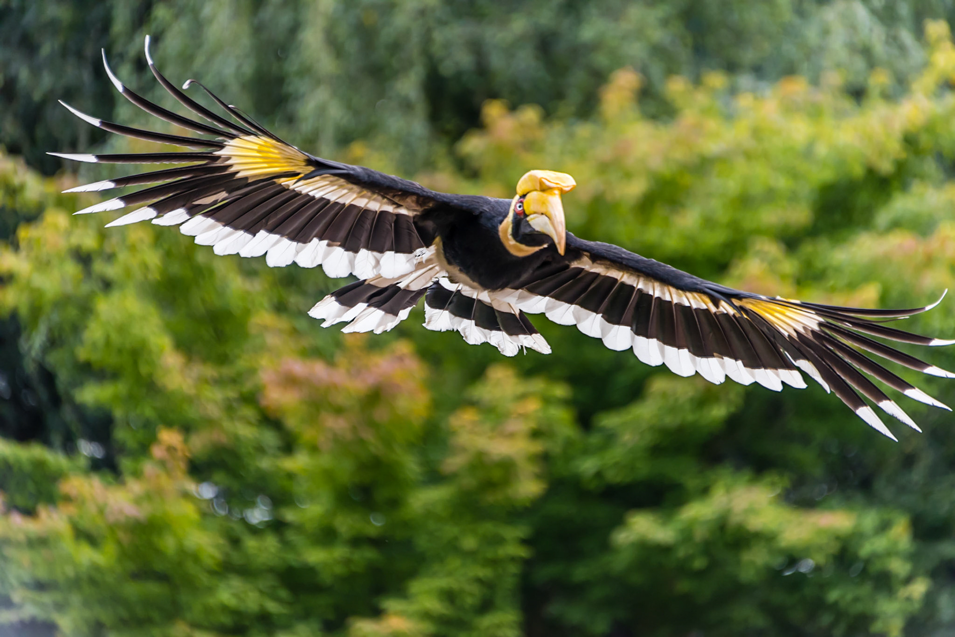 Photo by Rien Janssen (www.rienjanssen.com)