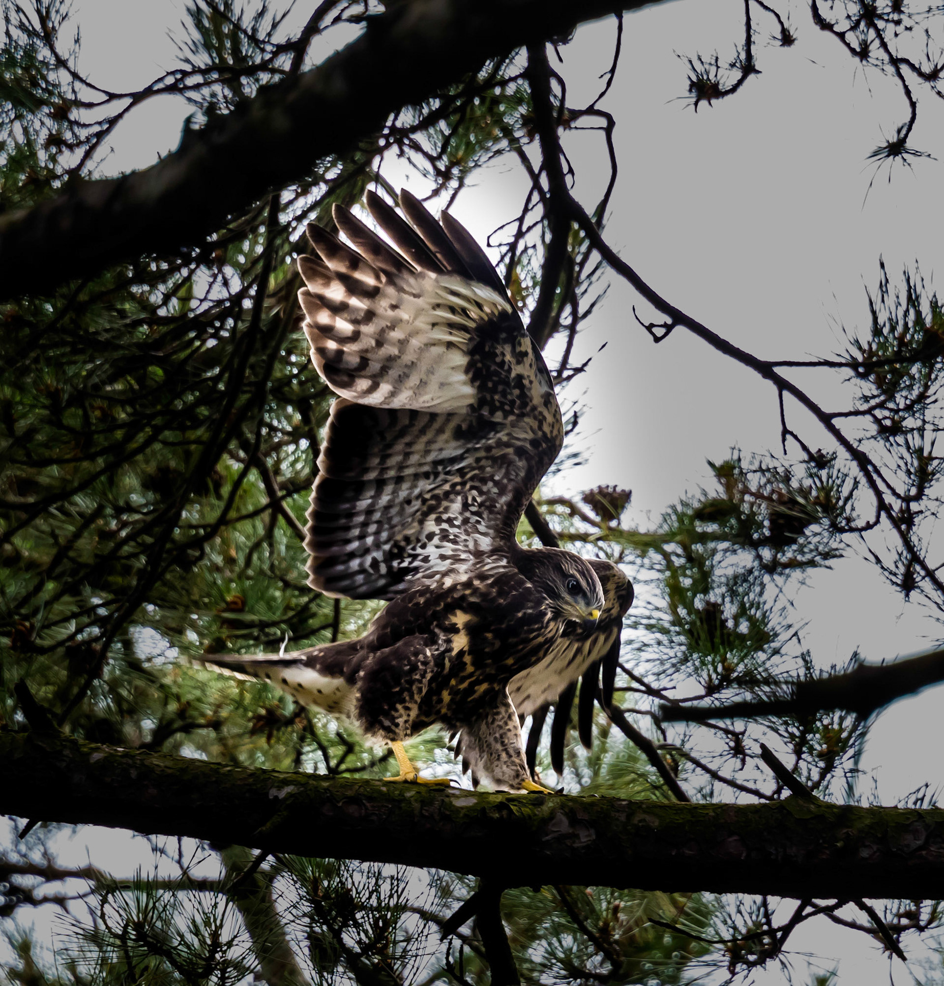 Photo by Rien Janssen (www.rienjanssen.com)