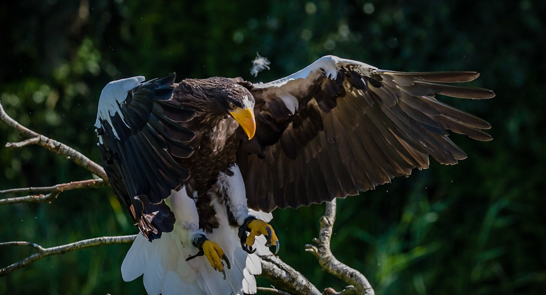 Photo by Rien Janssen (www.rienjanssen.com)