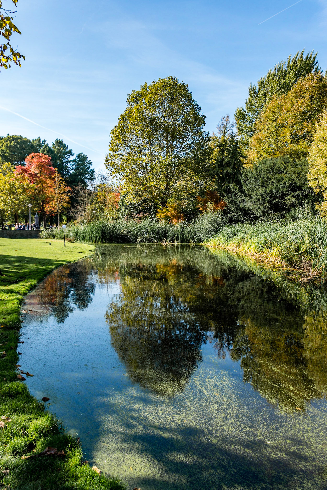 Photo by Rien Janssen (www.rienjanssen.com)