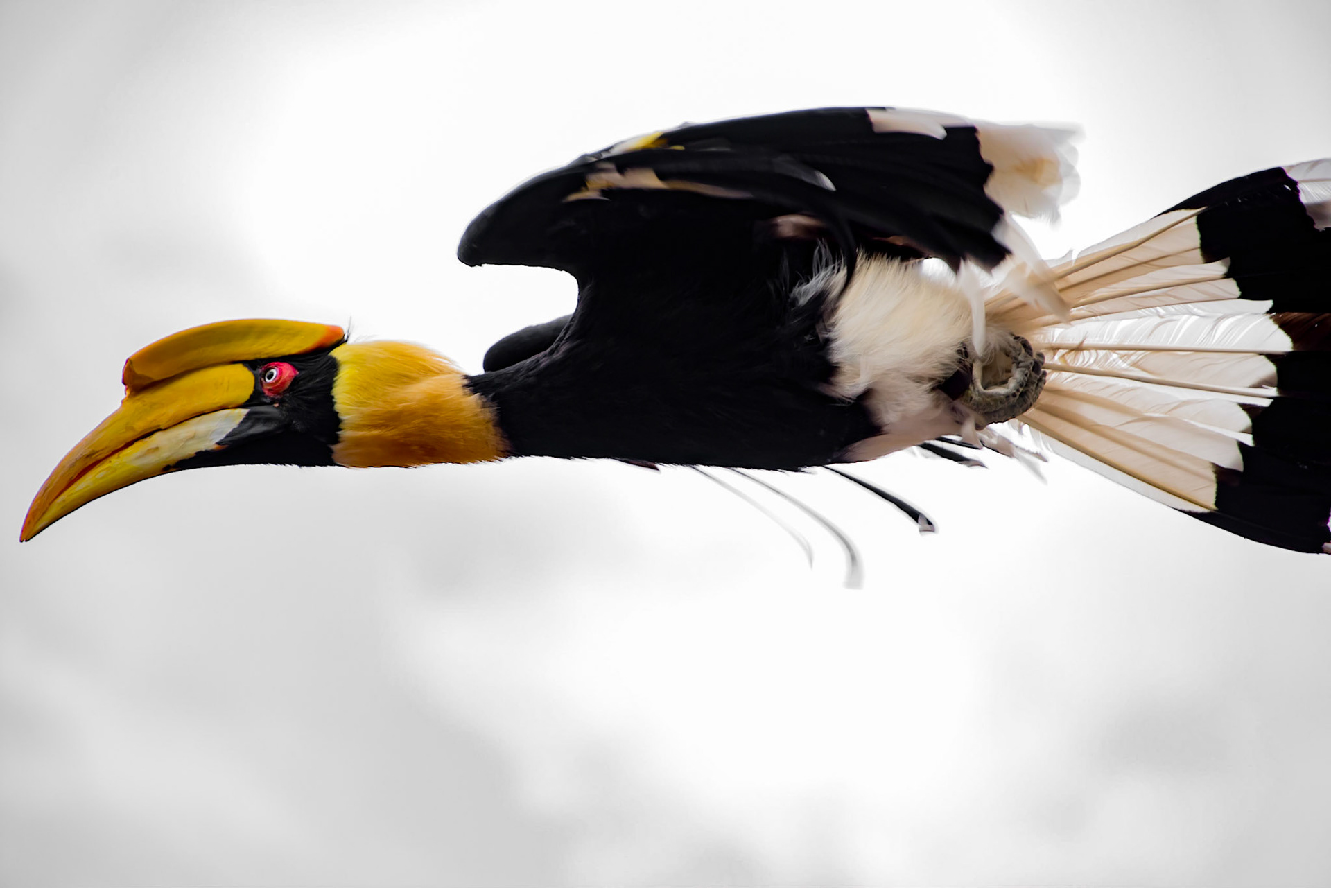 Photo by Rien Janssen (www.rienjanssen.com)