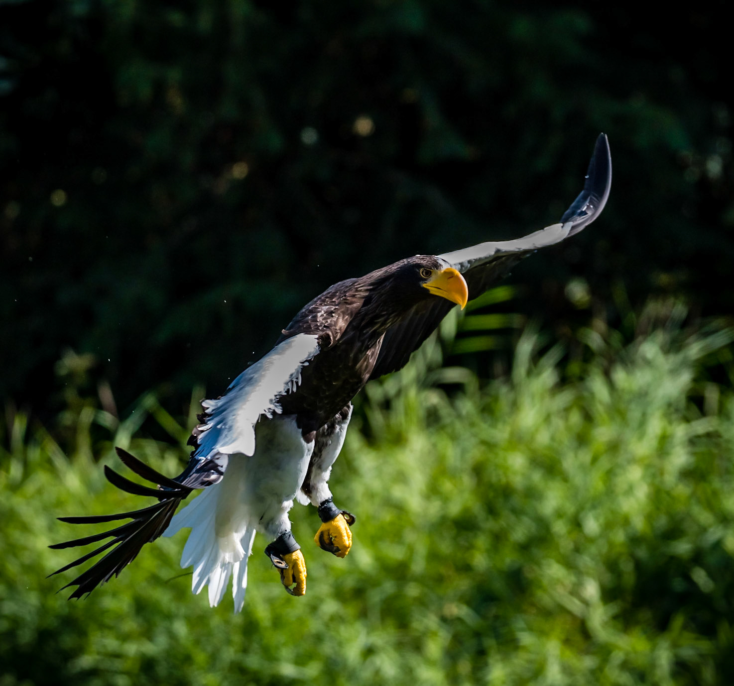 Photo by Rien Janssen (www.rienjanssen.com)