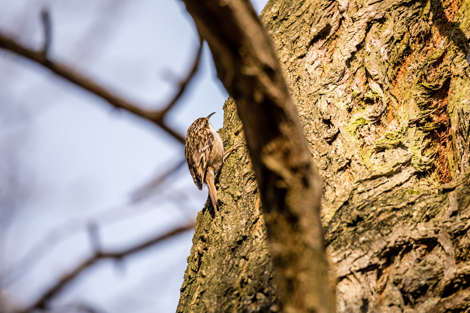 Photo by Rien Janssen (www.rienjanssen.com)