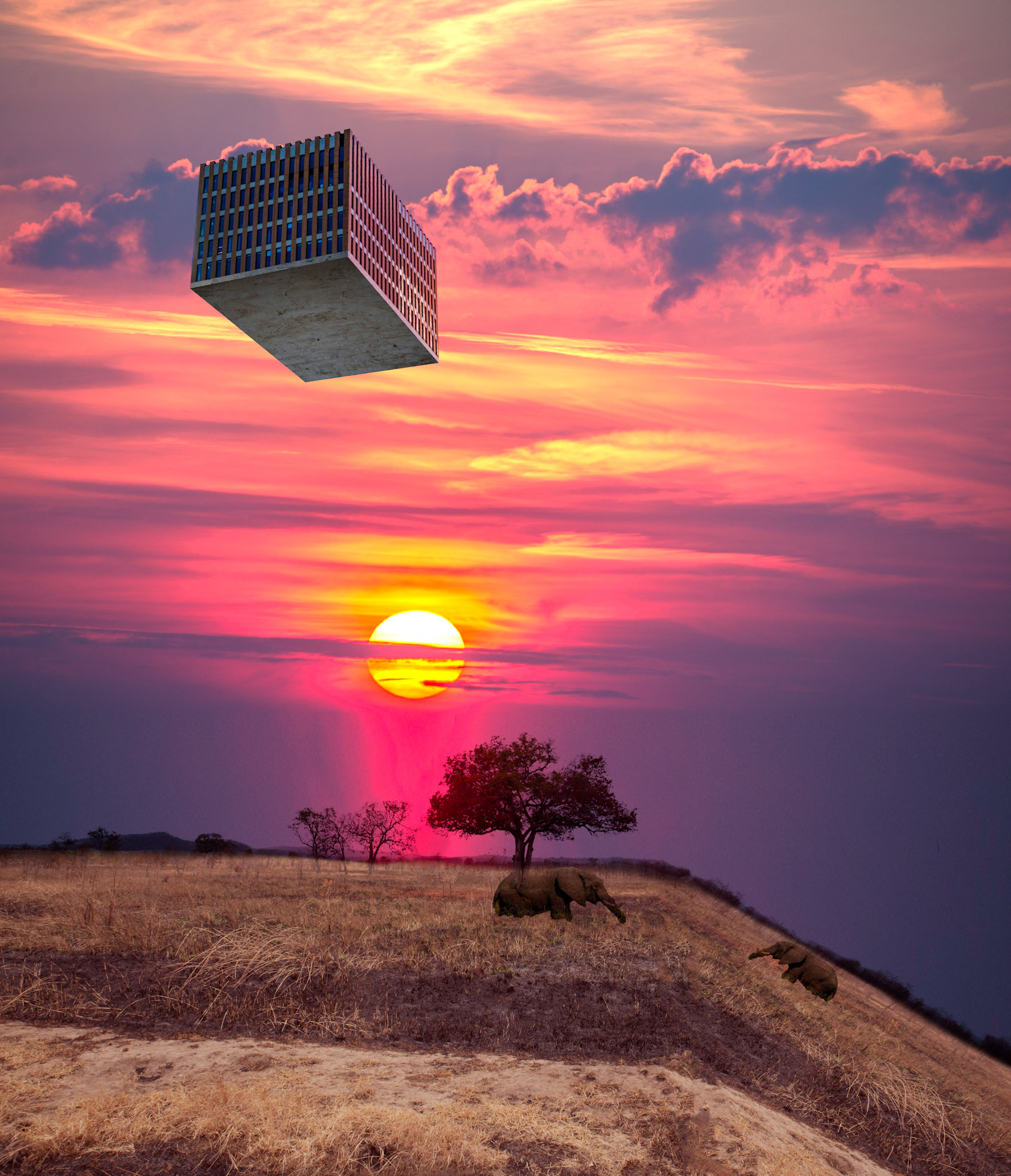 Composite of flying building with elephants over bended African savanna at rich sunset