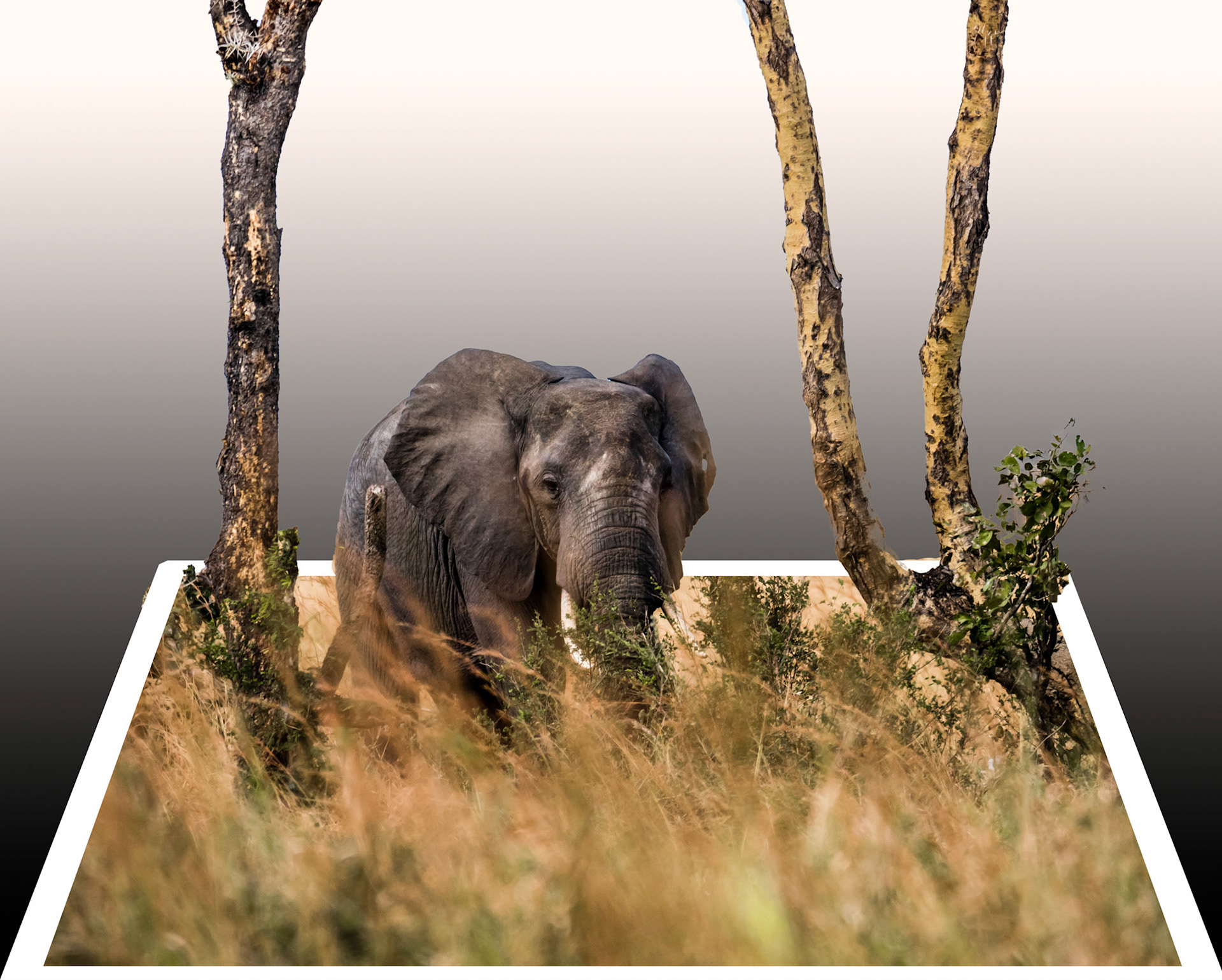 Photo by Rien Janssen (www.rienjanssen.com)