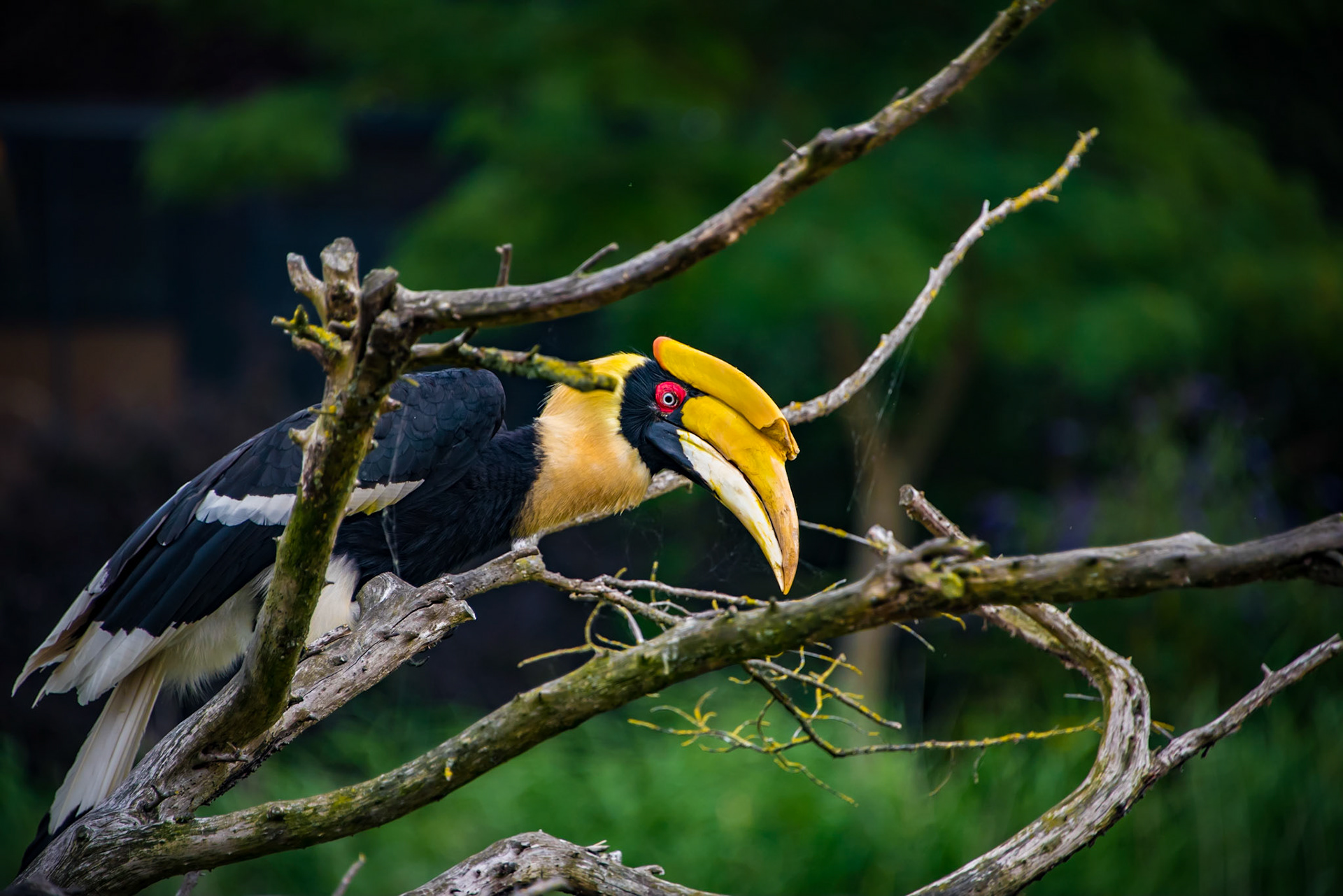 Photo by Rien Janssen (www.rienjanssen.com)