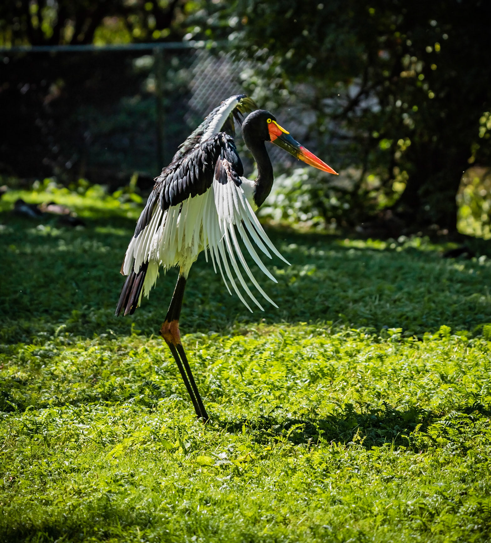 Photo by Rien Janssen (www.rienjanssen.com)