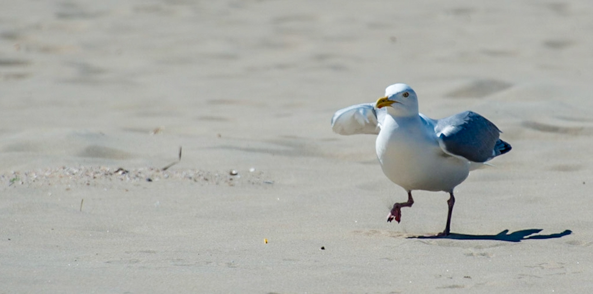 Photo by Rien Janssen (www.rienjanssen.com)