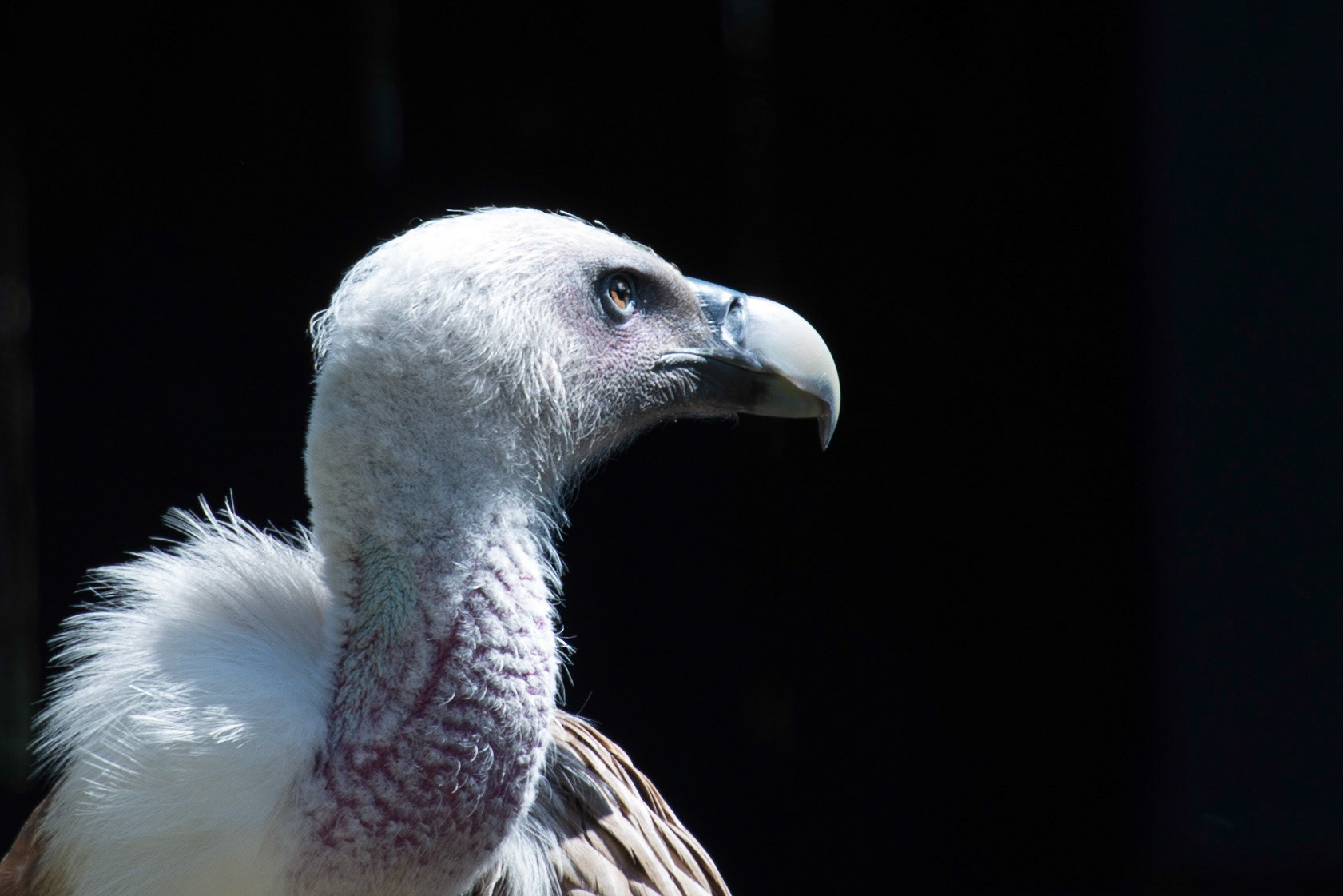 Photo by Rien Janssen (www.rienjanssen.com)