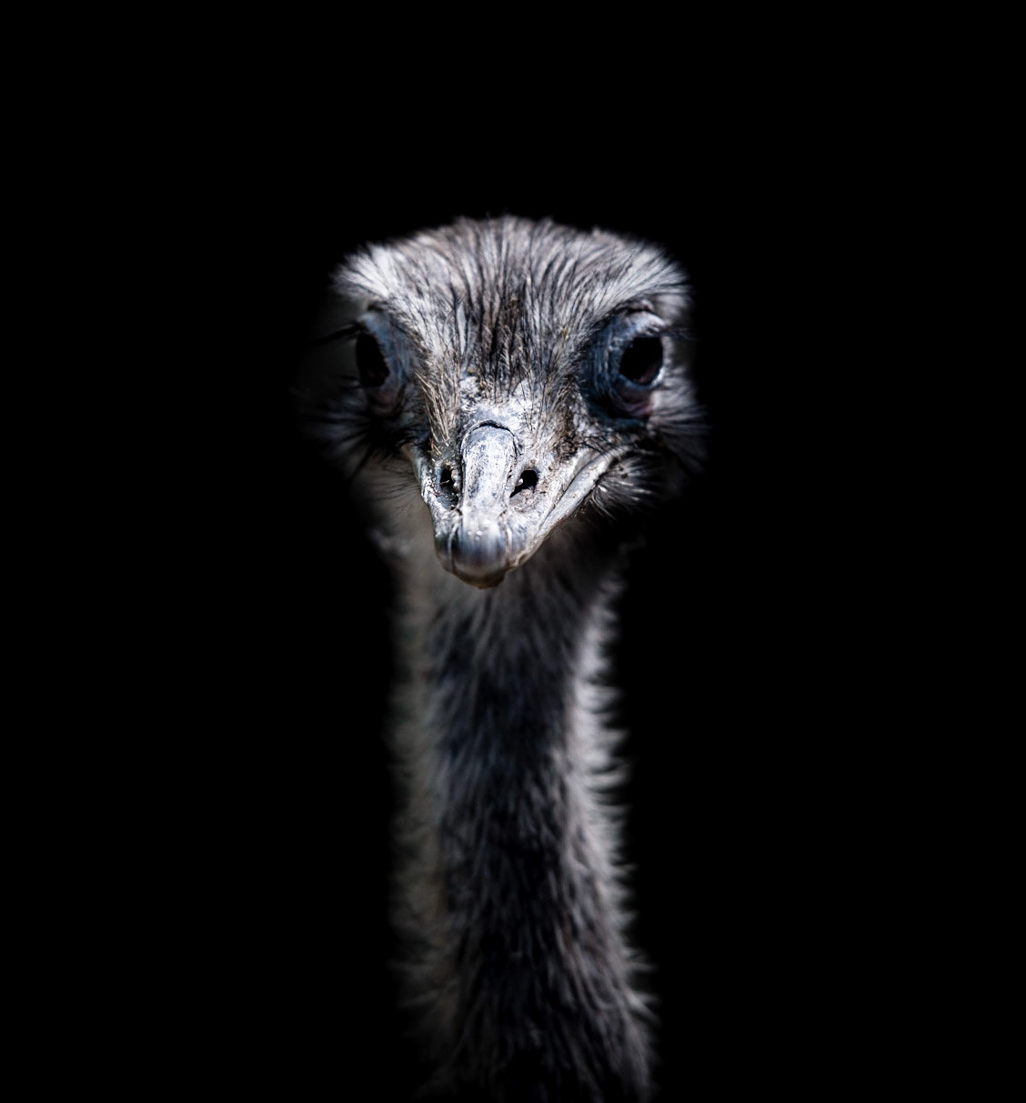 Photo by Rien Janssen (www.rienjanssen.com)